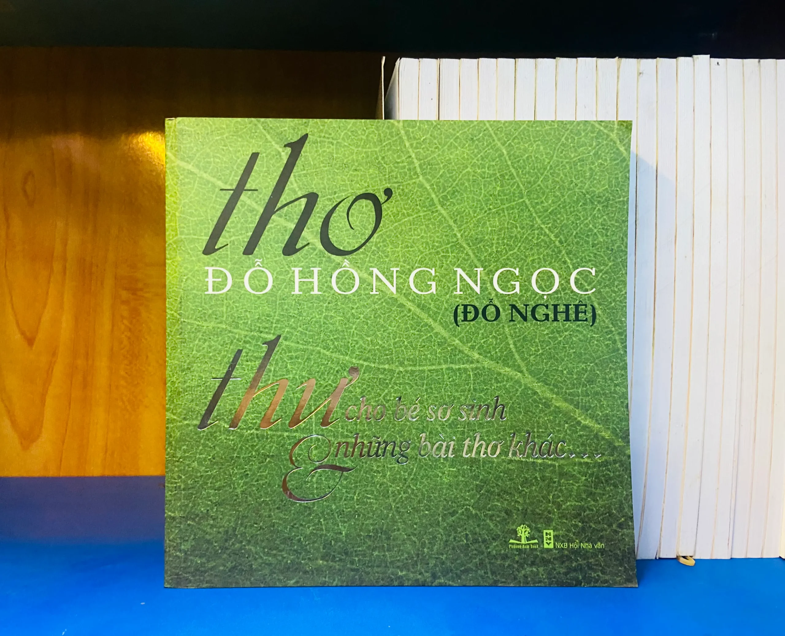 Thơ Đỗ Hồng Ngọc - Văn học VAVOY6-23