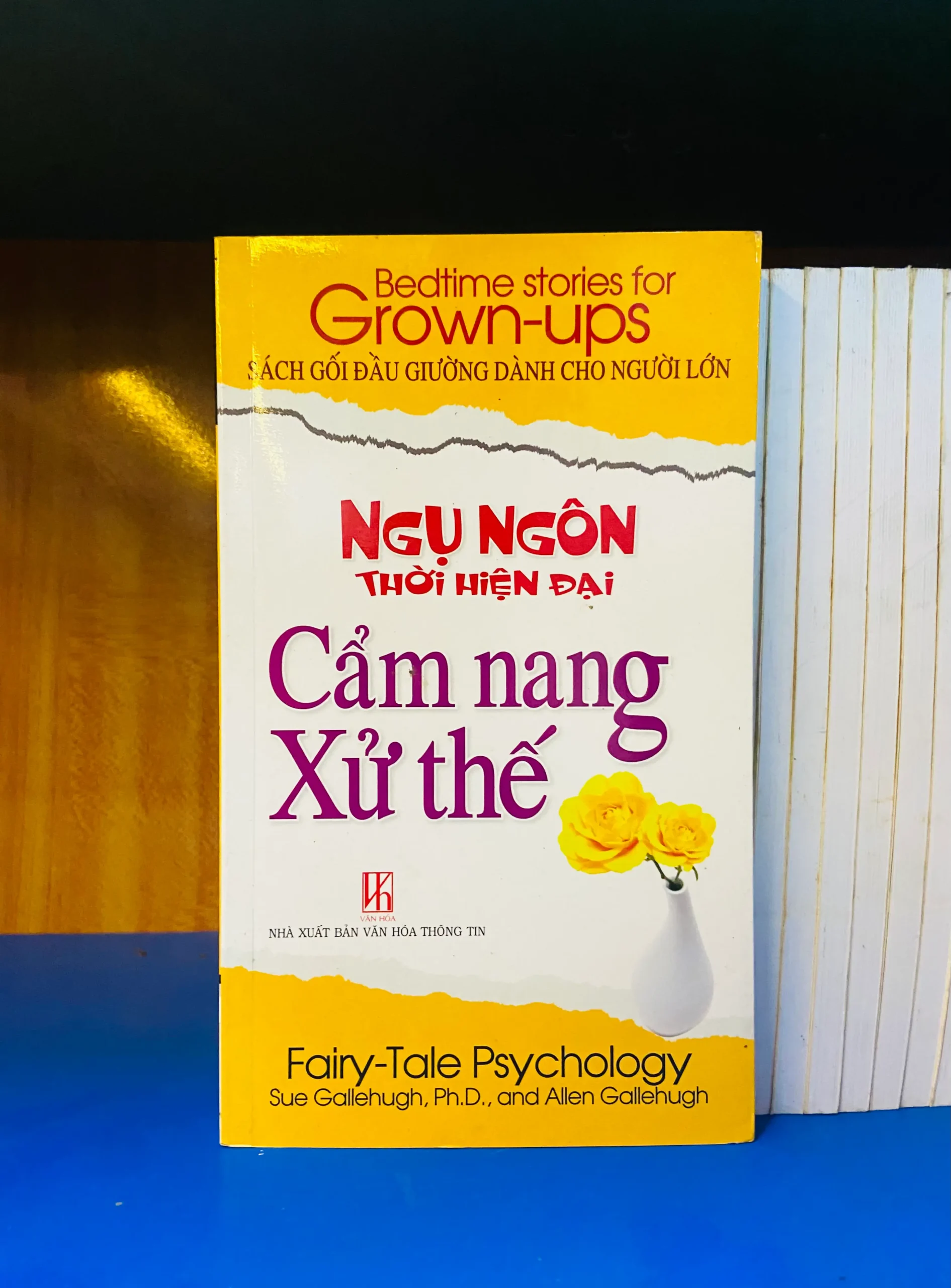 Cẩm nang xử thế - Tâm lý VAVOY6-14