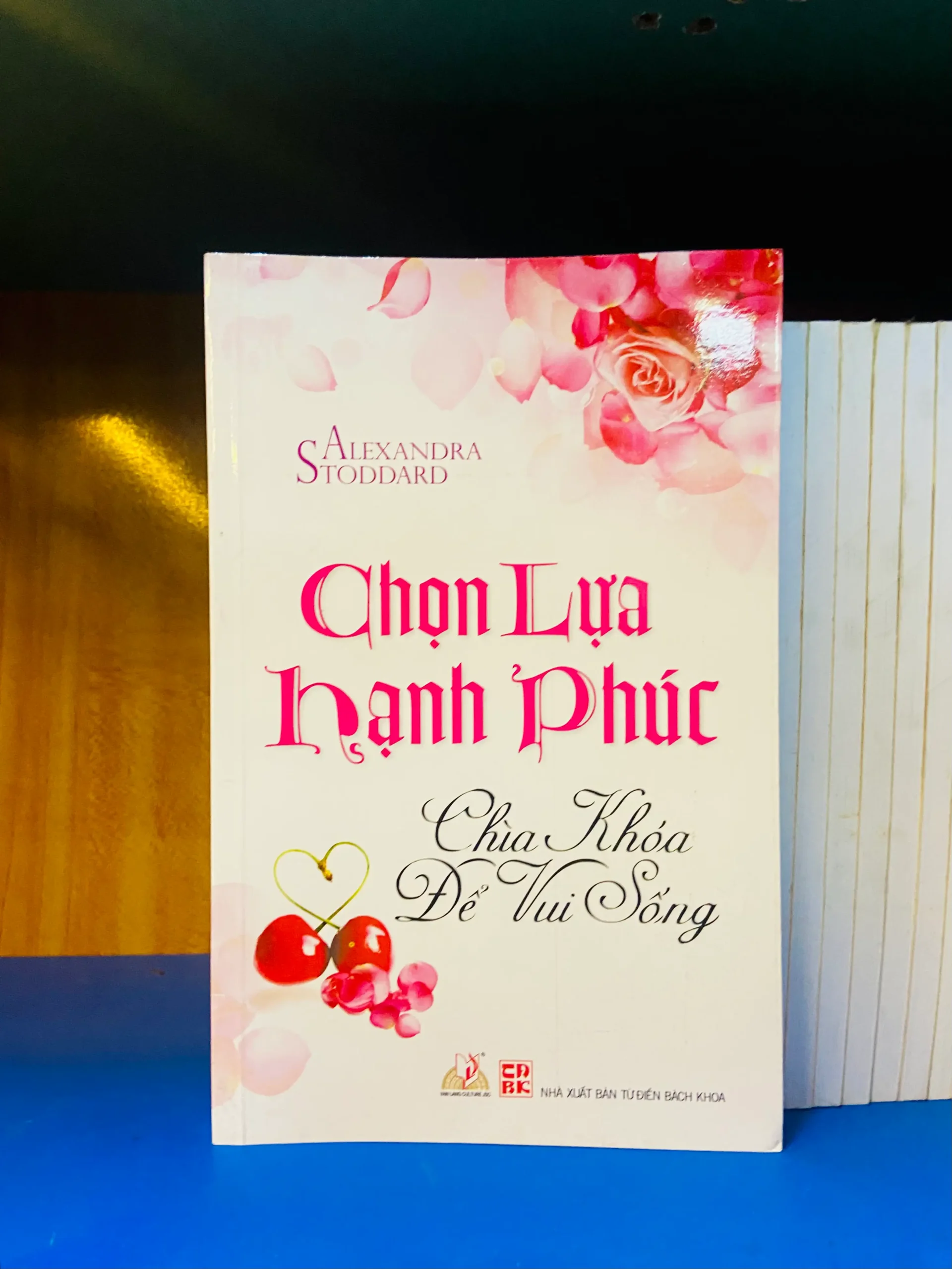 Chọn lựa Hạnh Phúc - Tâm lý VAVOY4S-22