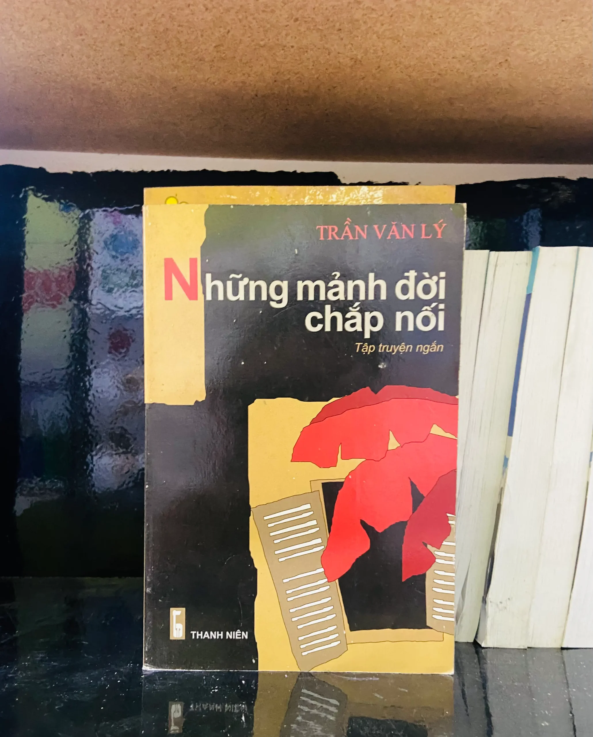 Những mảnh đời chắp nối - Trần Văn Lý - Văn học VAVOA1T3- 17