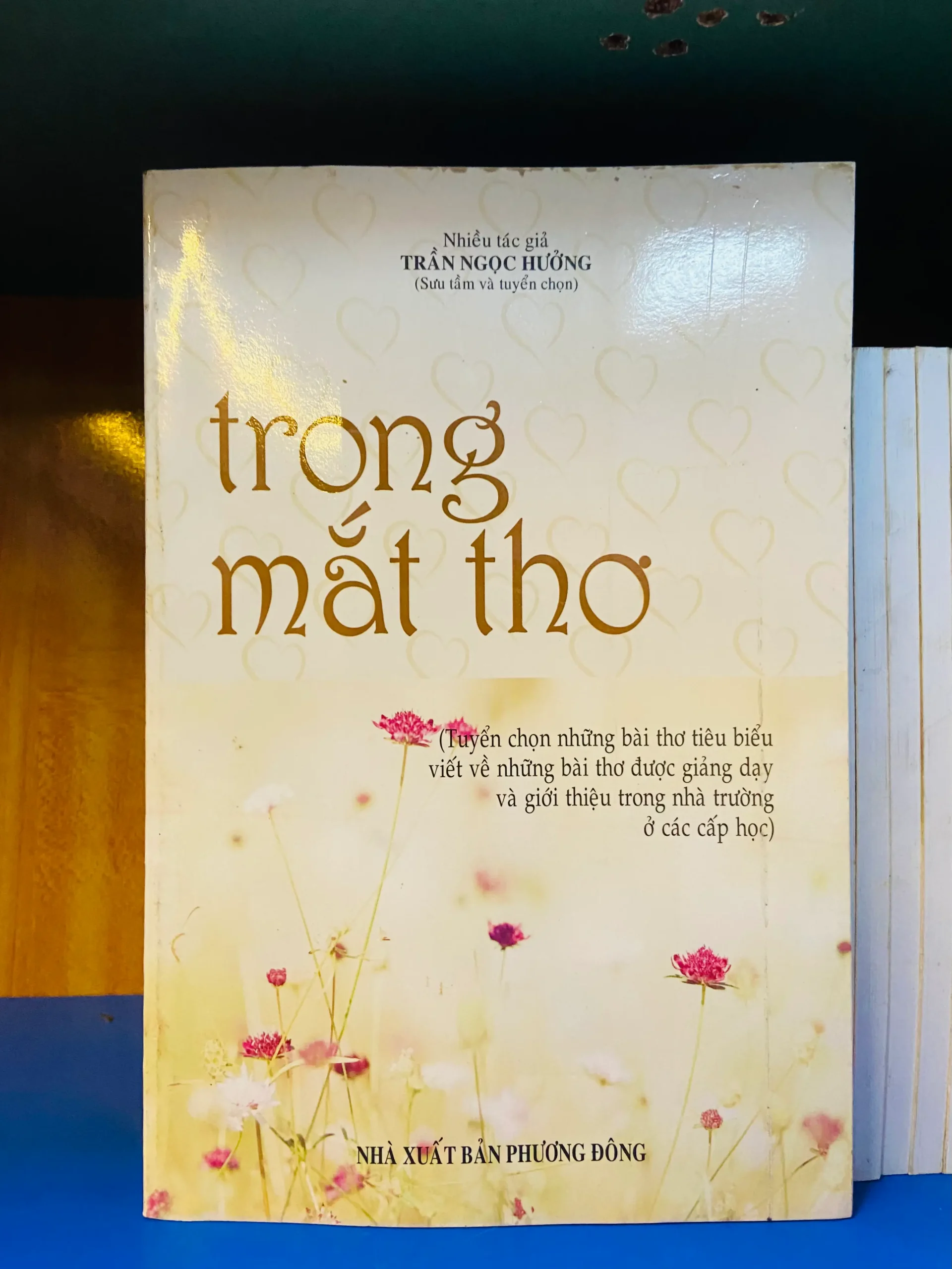 Trong mắt thơ - Văn học VAVOY6S-19