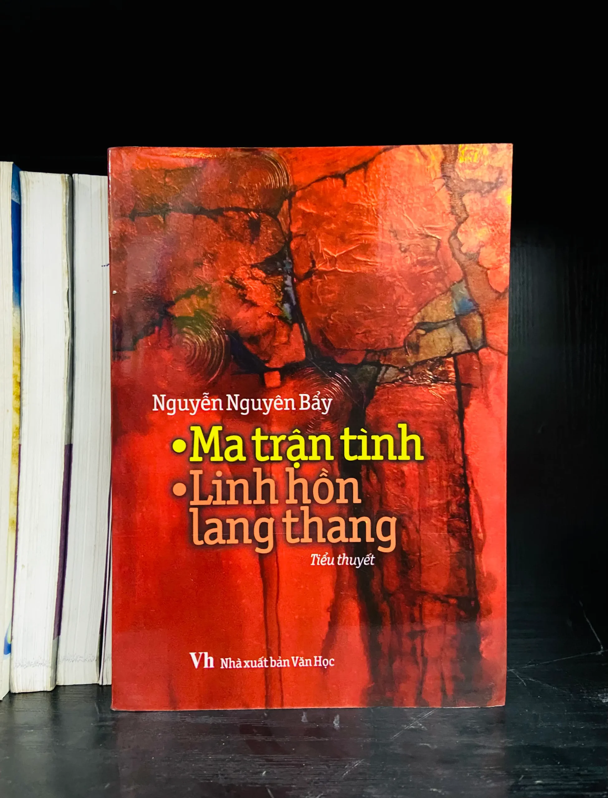 Ma trận tình, Nguyên hồn lang thang - Nguyễn Nguyên Bẩy - Văn học VAVOX5S-20