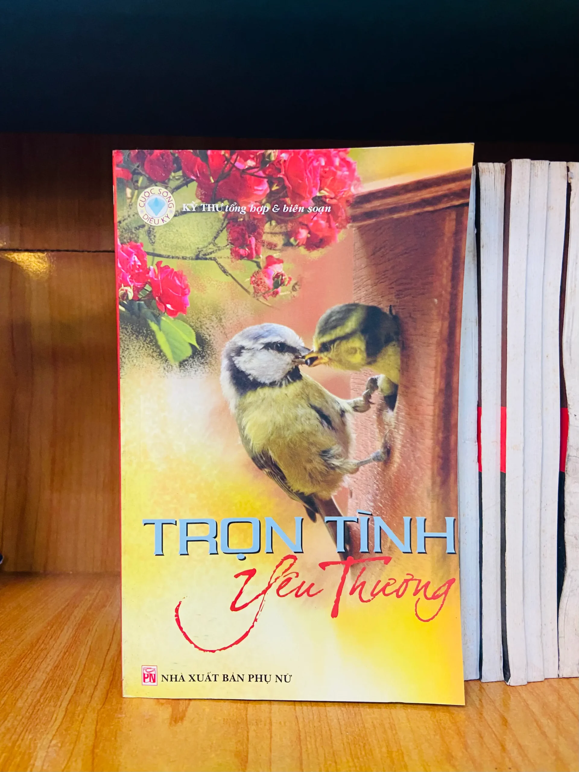 Trọn tình Yêu thương - Văn học VAVOY3S-12