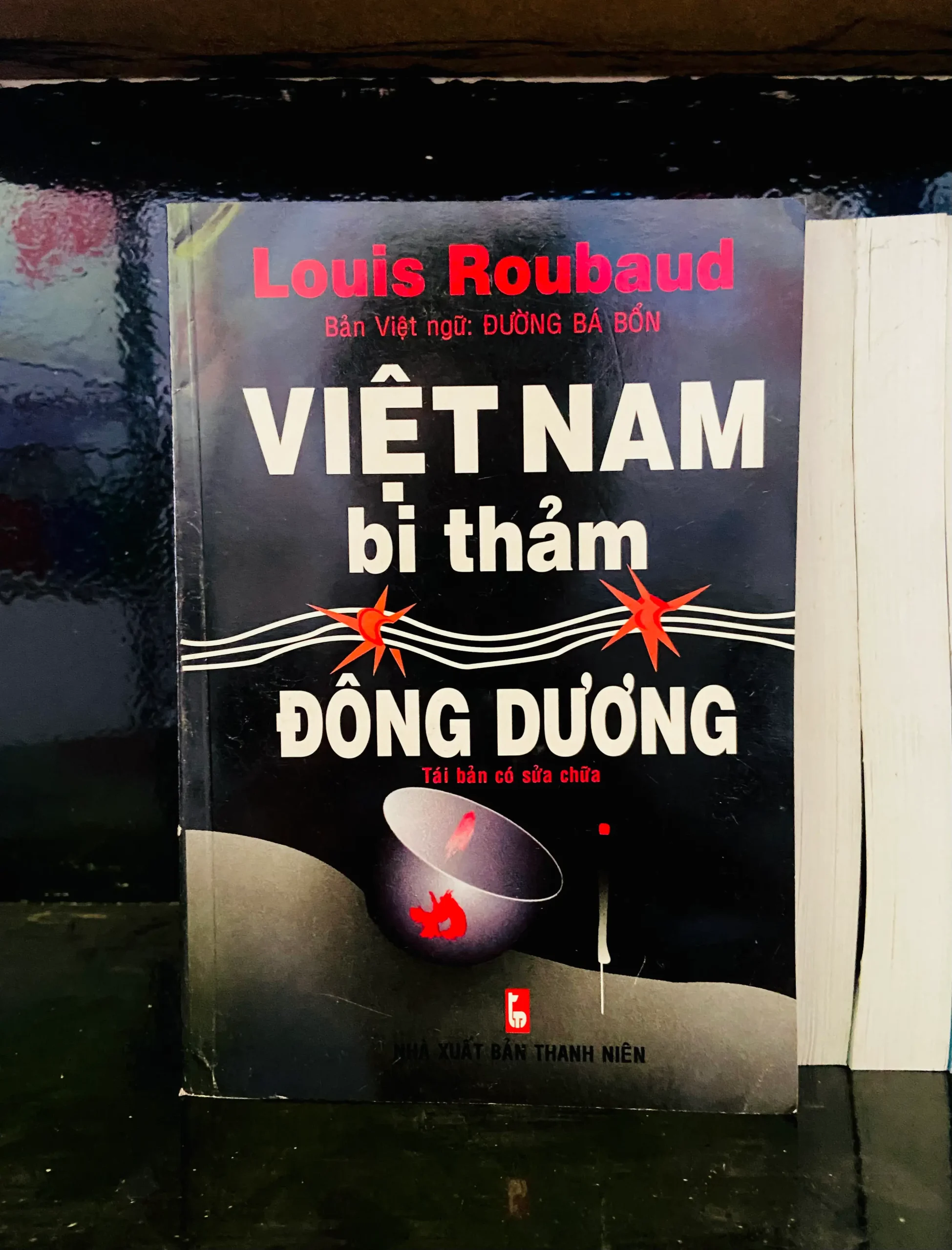 Việt Nam bi thảm Đông Dương - Louis Roubaud - Lịch sử VAVOA1T2-24