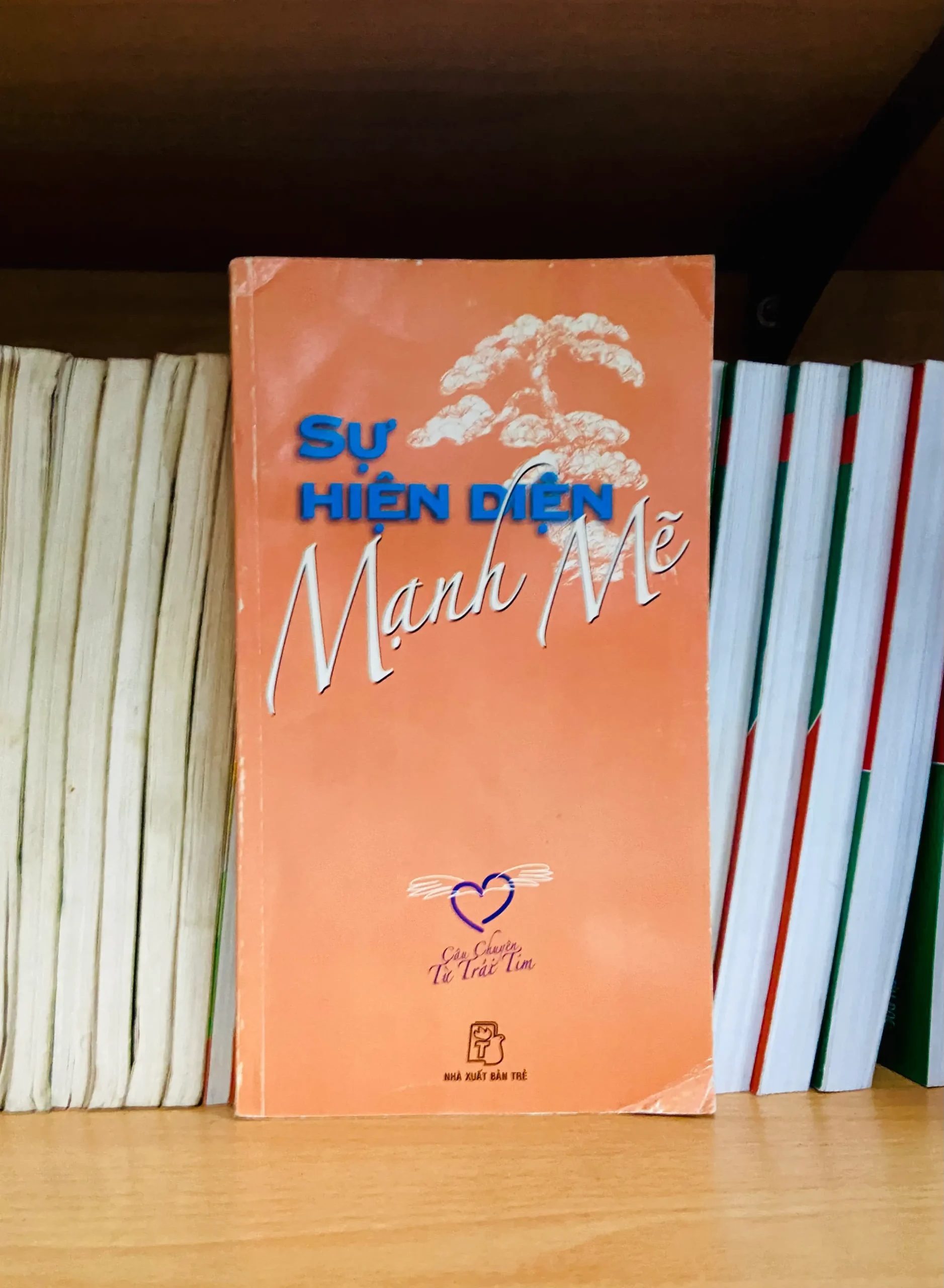 Sự hiện diện mạnh mẽ - Văn học VAVOD1O3N5C1-1