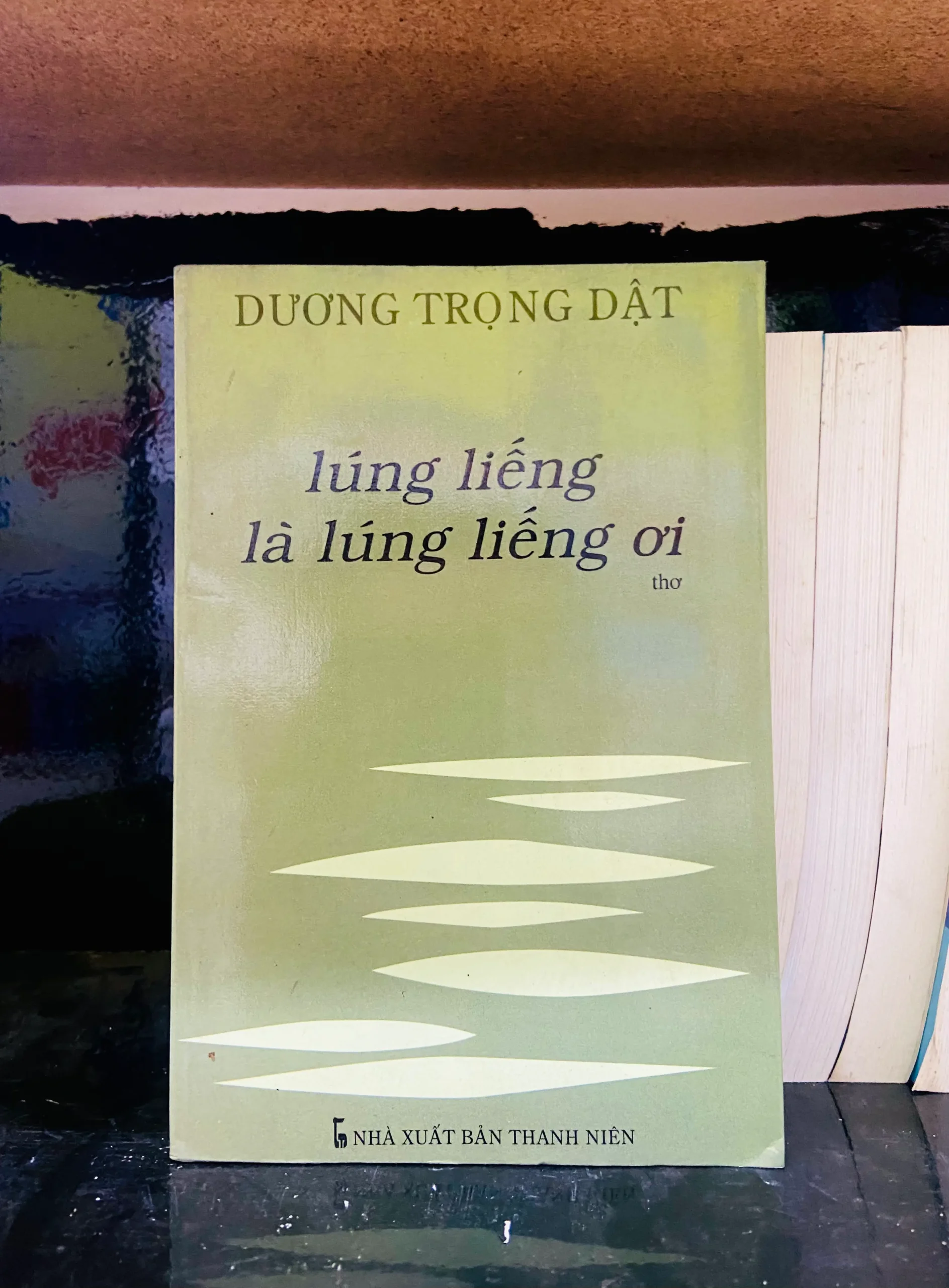 Lúng liếng là lúng liếng ơi - Dương Trọng Đạt - Văn học VAVOA1T1-21