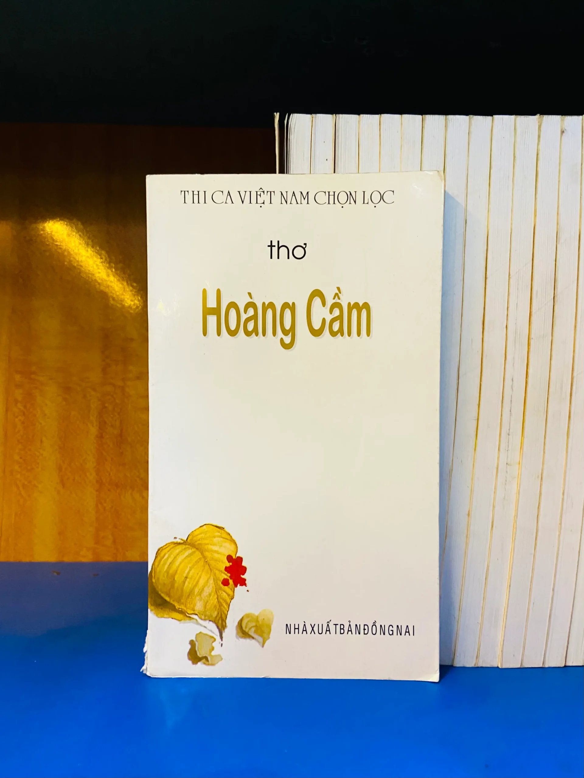 Thơ Hoàng Cầm - Văn học VAVOY7S-11