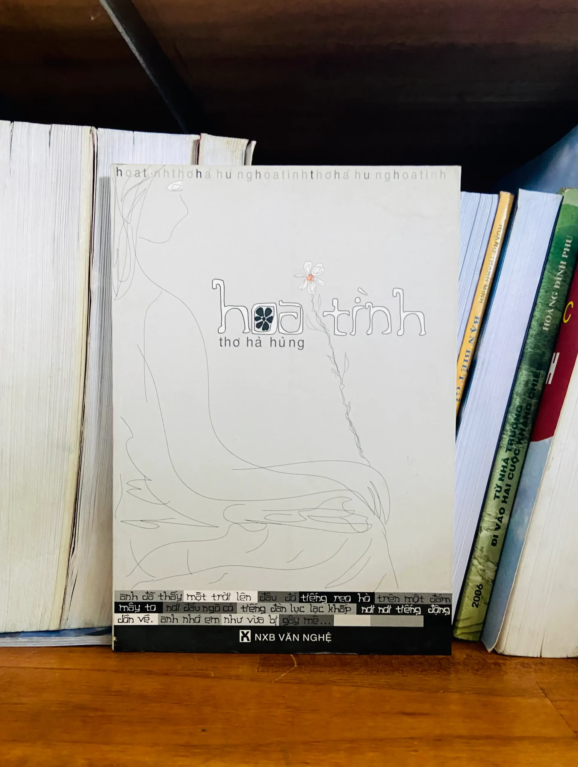 Hoa tình - Hà Hùng - Văn học VAVOB1T2-111