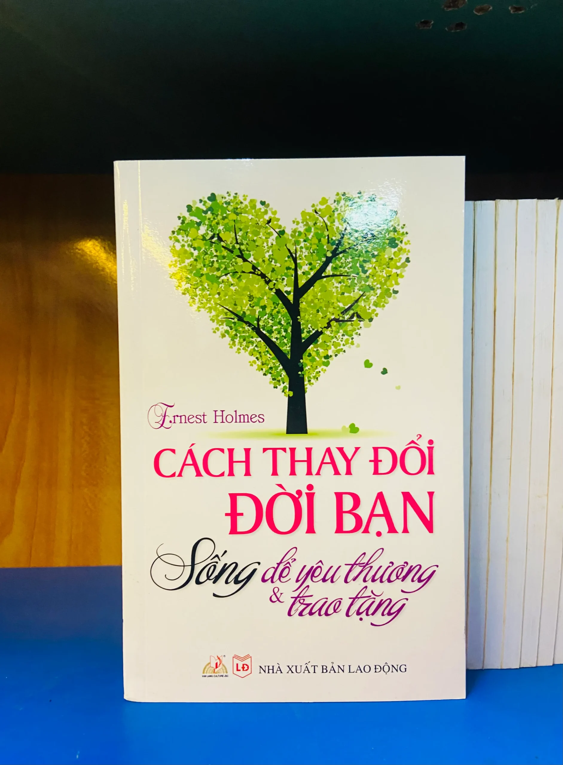 Cách thay đổi Đời bạn - Sống để yêu thương & trao tặng - Phát triển bản thân VAVOY4S-13