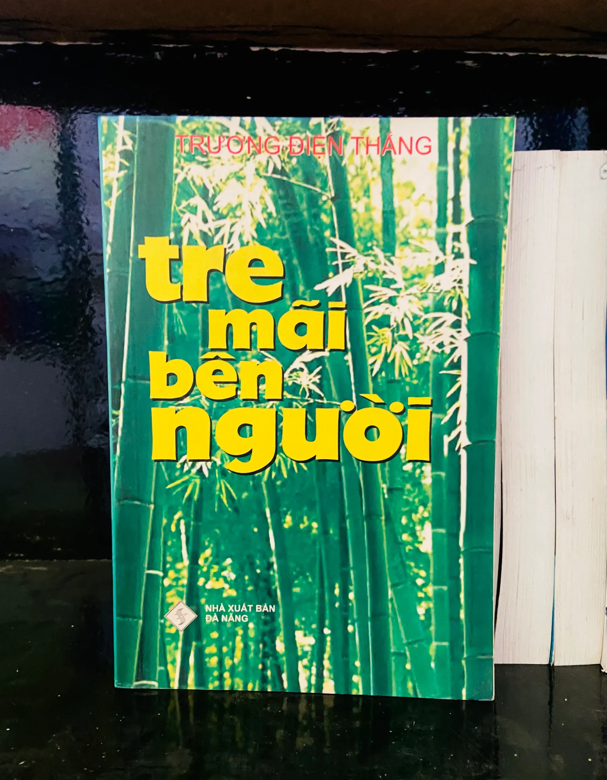 Tre mãi bên người - Trương Điện Thắng - Văn học VAVOA1T2-26