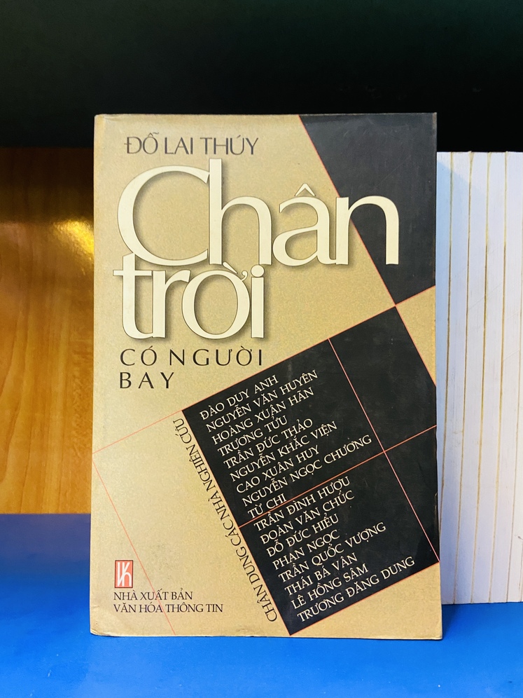 Chân trời có người bay - Đỗ Lai Thúy - Văn học VAVOY7S-5