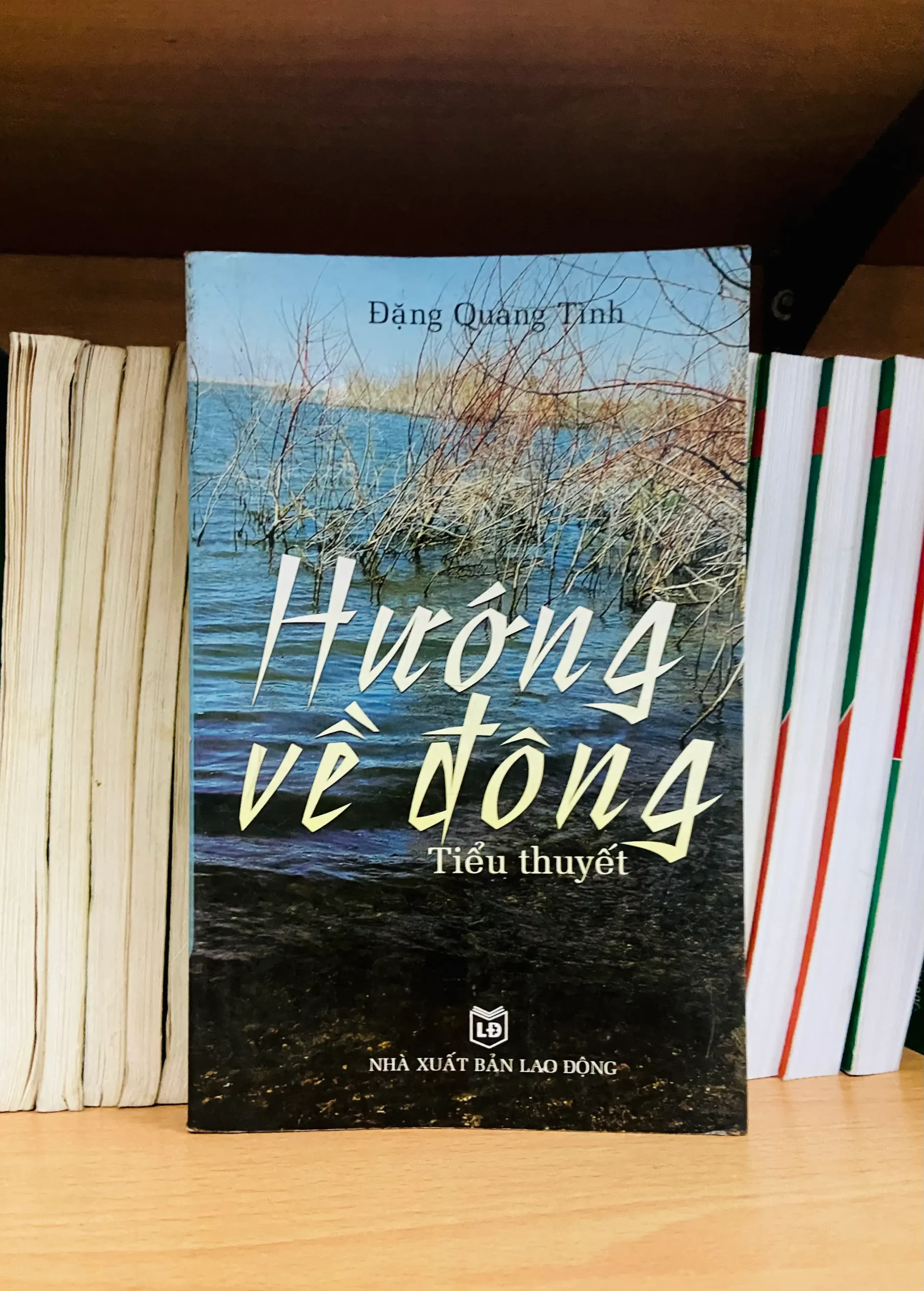 Hướng về đông - Đặng Quang Tình - Văn học VAVOVK0-265