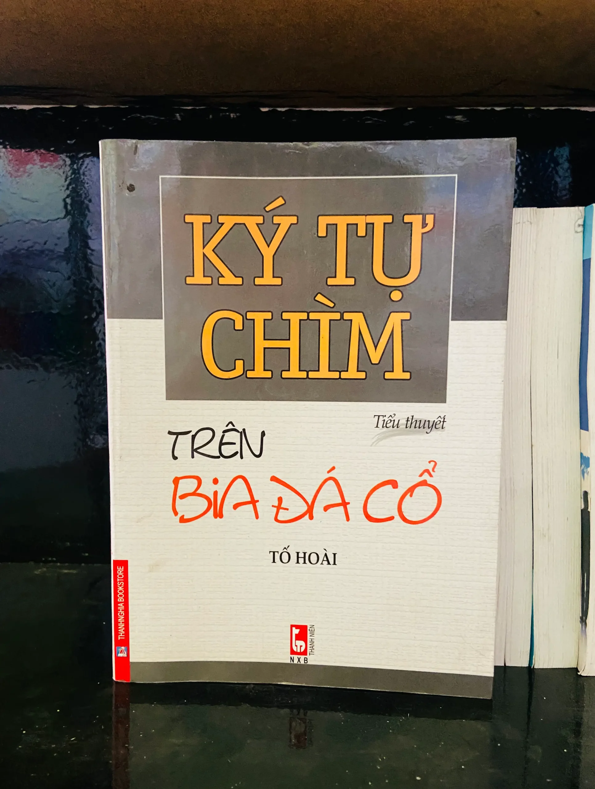 Ký tự chìm trên bia đá cổ - Tố Hoài - Văn học VAVOA1T2-42