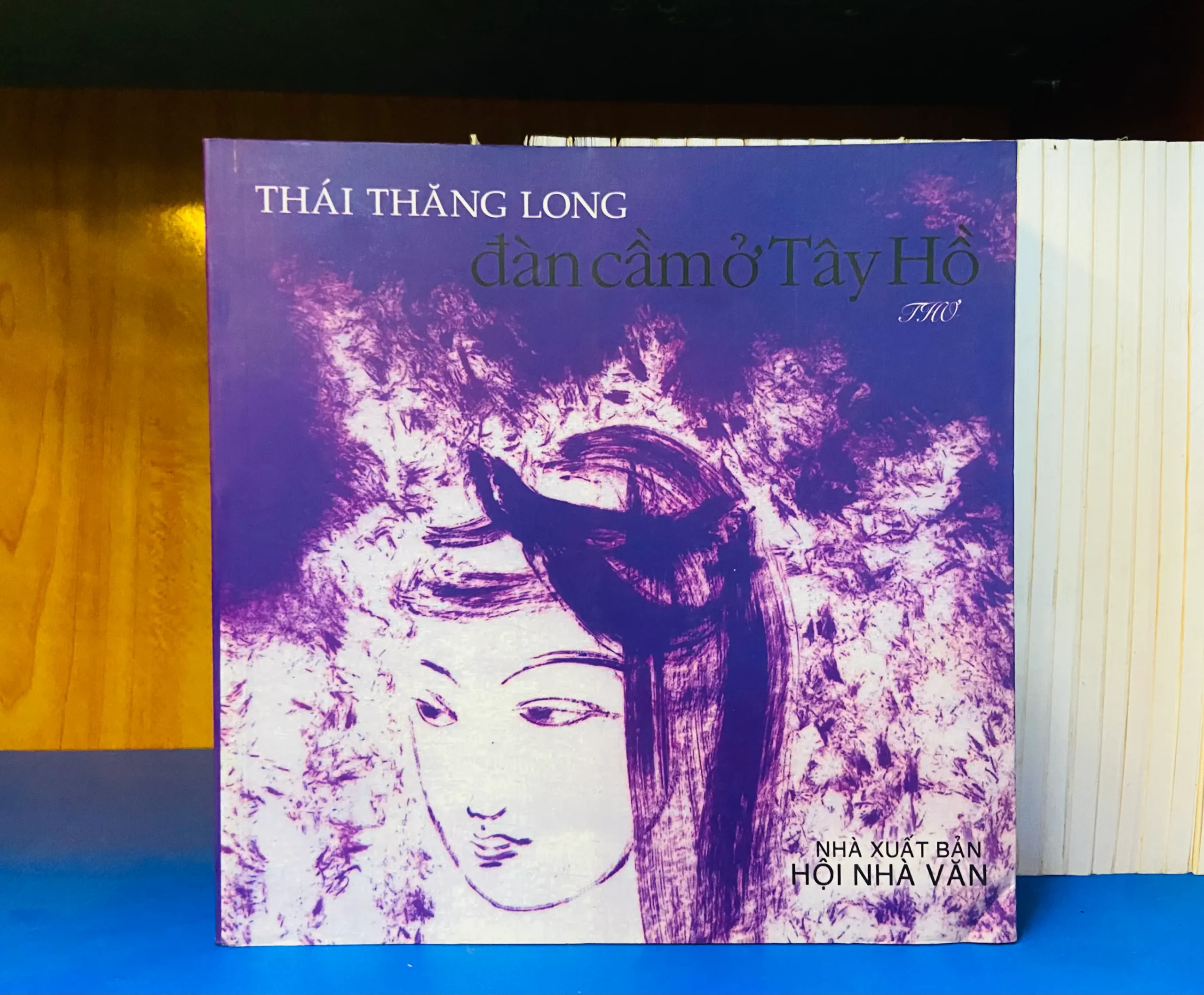 Đàn cầm ở Tây Hồ - Văn học VAVOY6S-8
