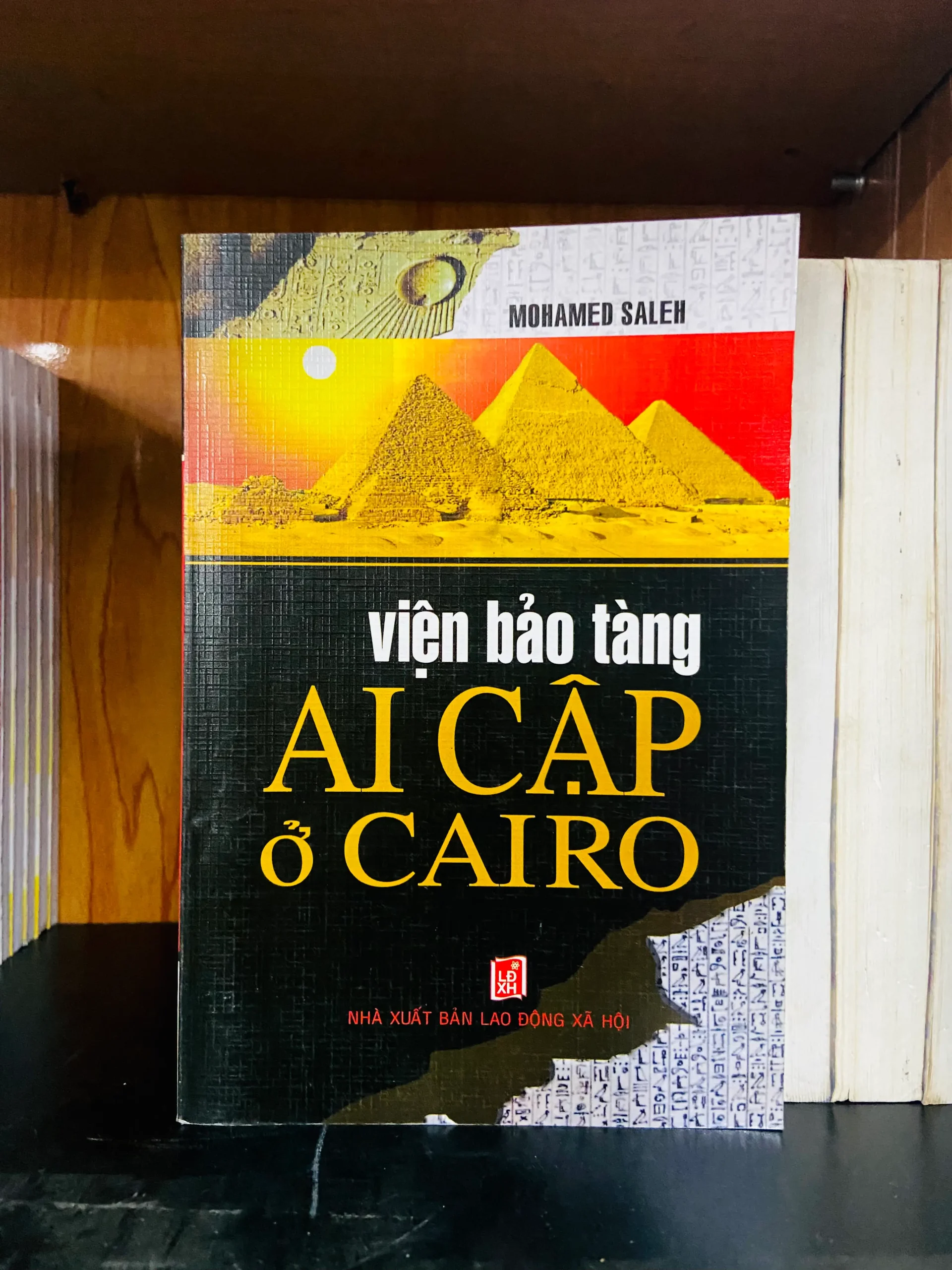 Viện bảo tàng Ai Cập ở Cairo - Mohamed Saleh - Lịch sử VAVOB4D1-15