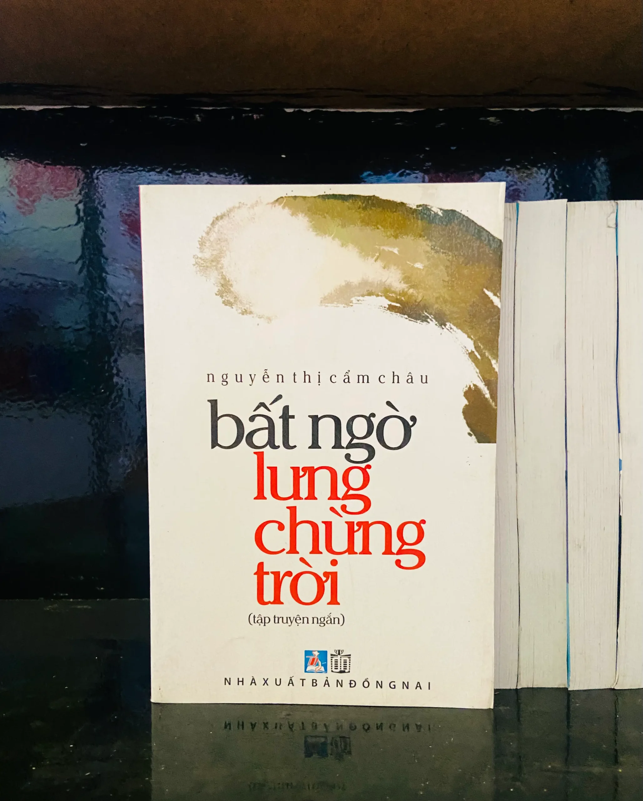 Bất ngờ lưng chừng trời - Nguyễn Thị Cẩm Châu - Văn học VAVOA1T2-7
