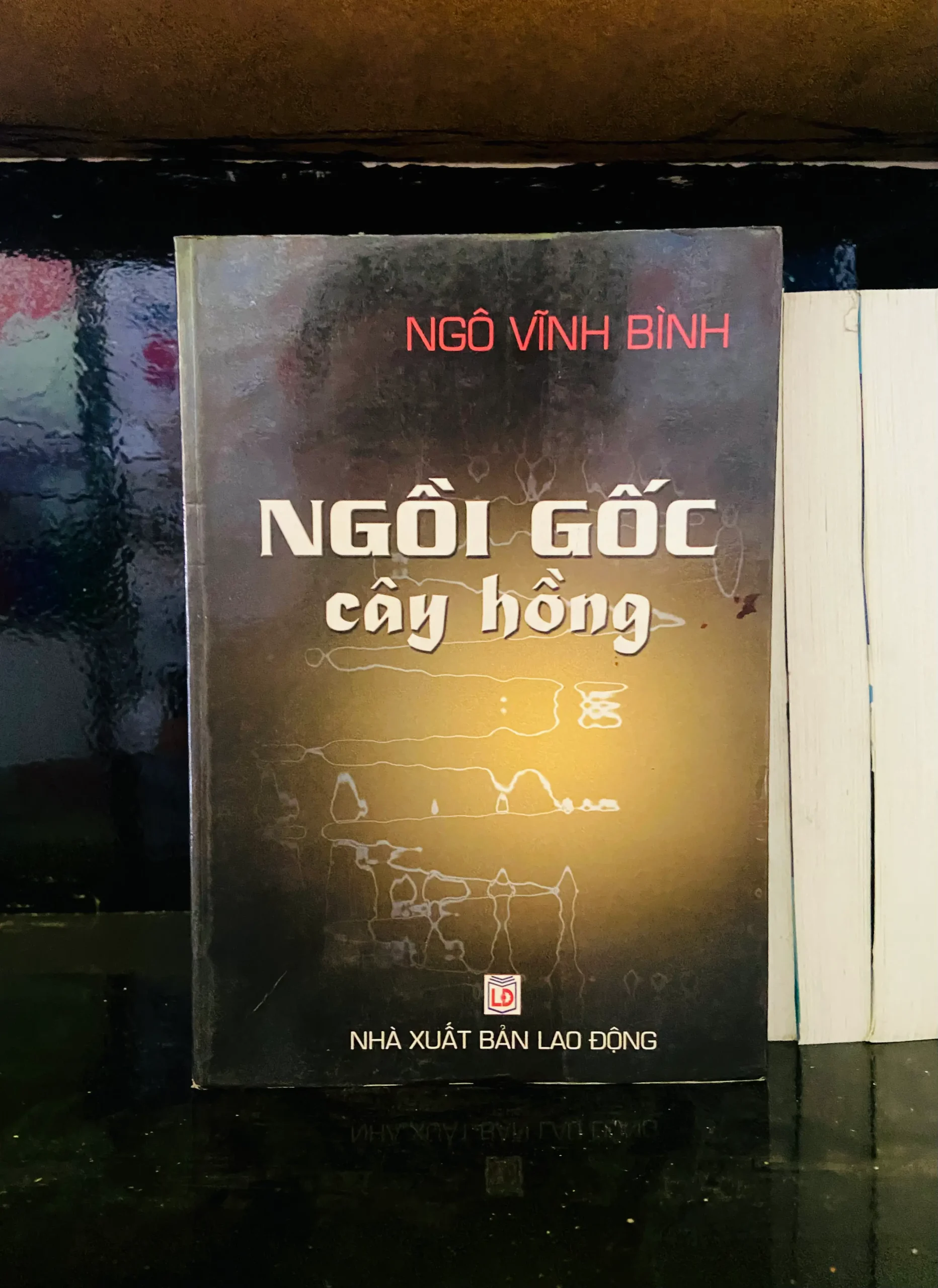 Nguồn gốc cây hồng - Ngô Vĩnh Bình - Văn học VAVOA1T2-22