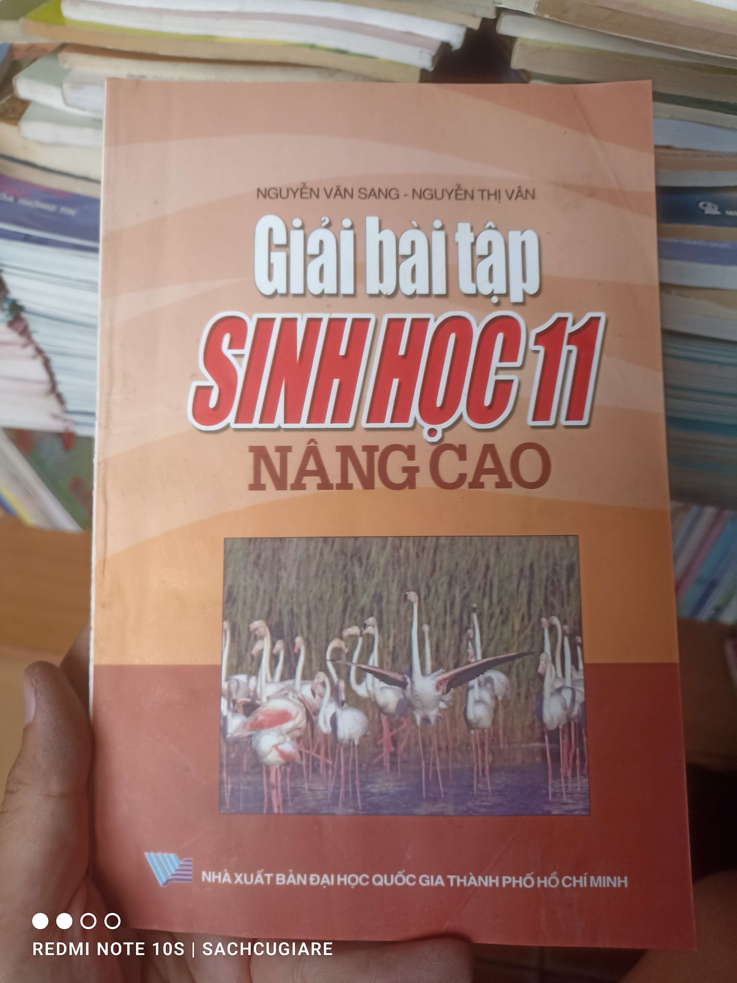 Giải Bài Tập Sinh Học 11 (Nâng Cao) - Nguyễn Văn Sang, Nguyễn Thị Vân 2007 VAVO-AK2ST3