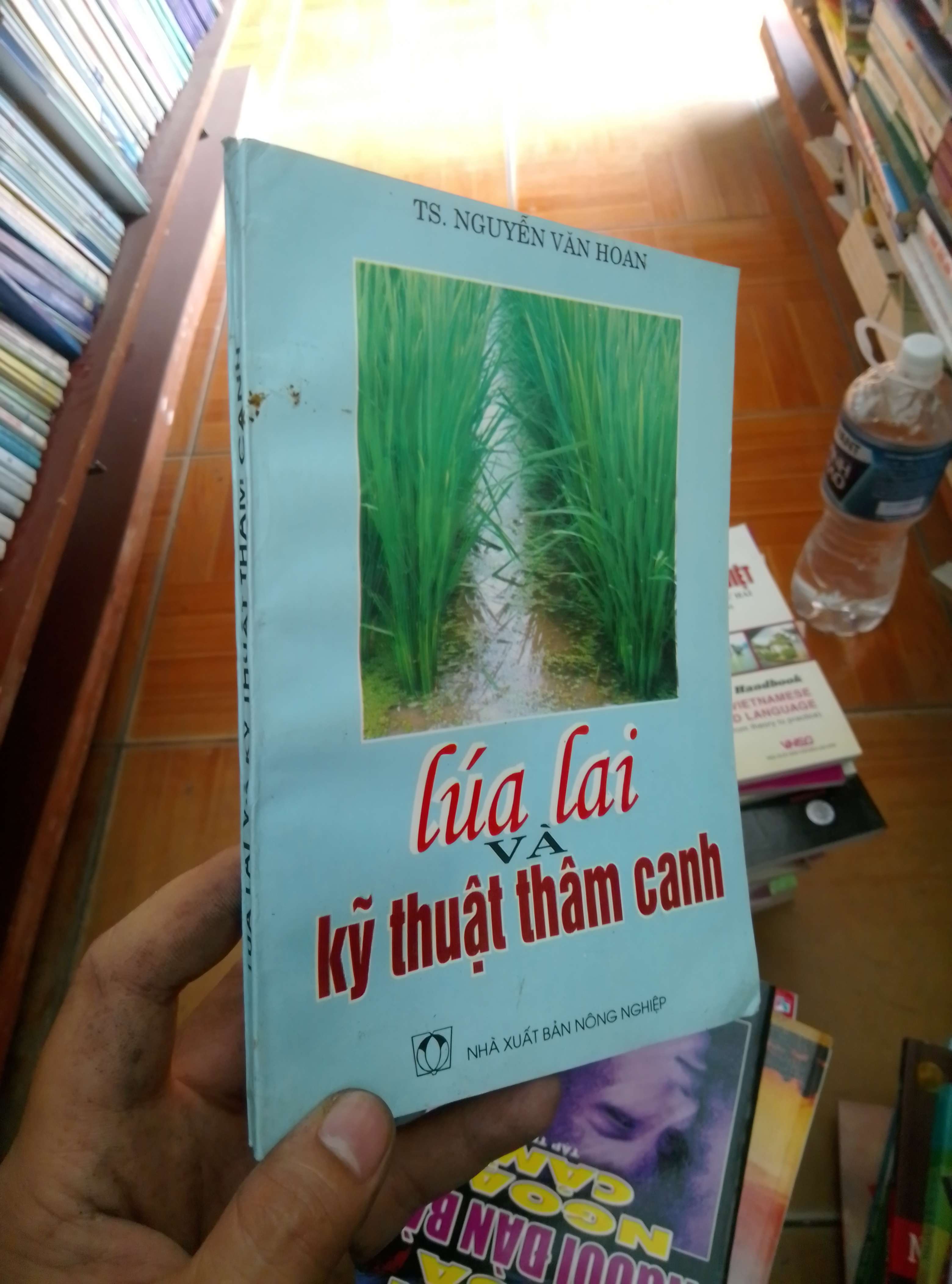 Lúa lai và kỹ thuật thâm canh - Văn Hoan 1999 VAVO-AK18