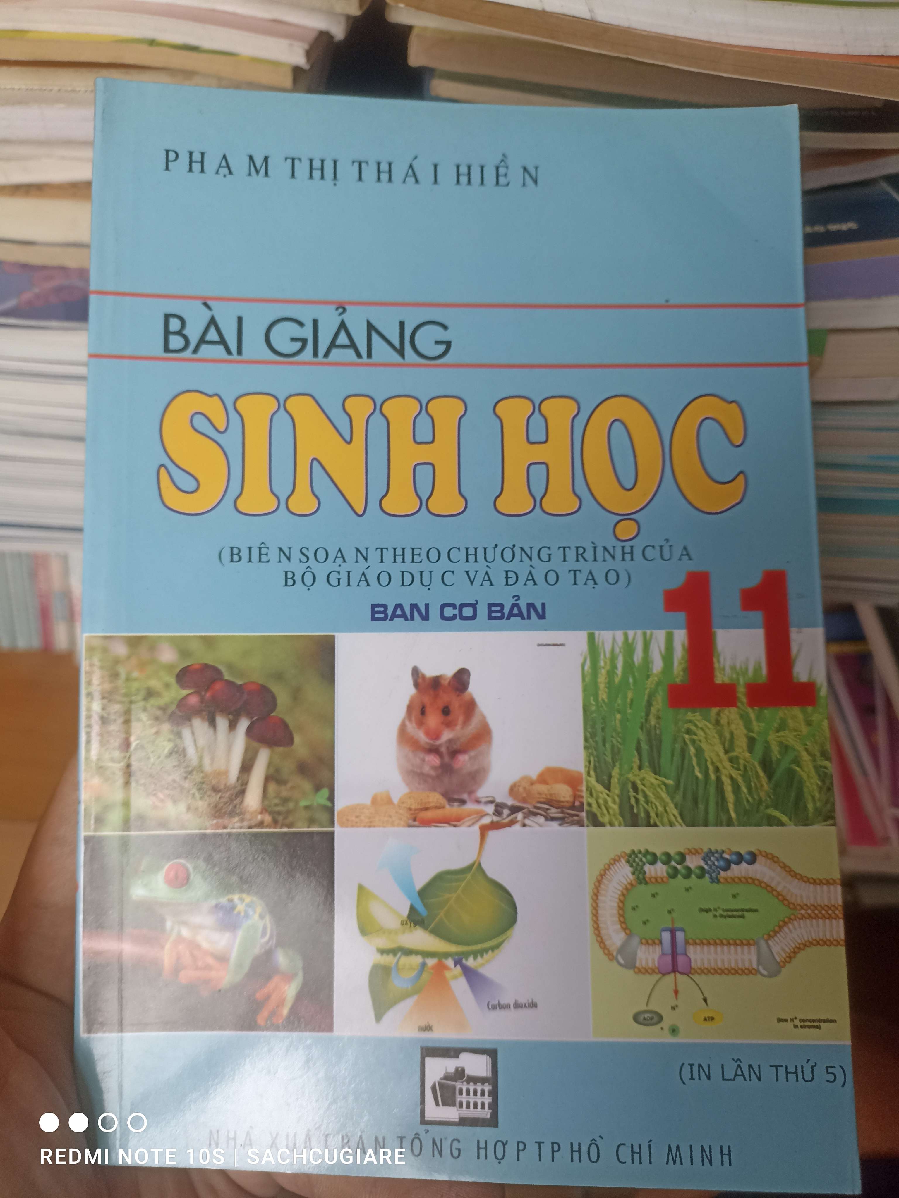 Bài Giảng Sinh Học 11 (Ban Cơ Bản) - Phạm Thị Thái Hiền 2008 VAVO-AK2ST3