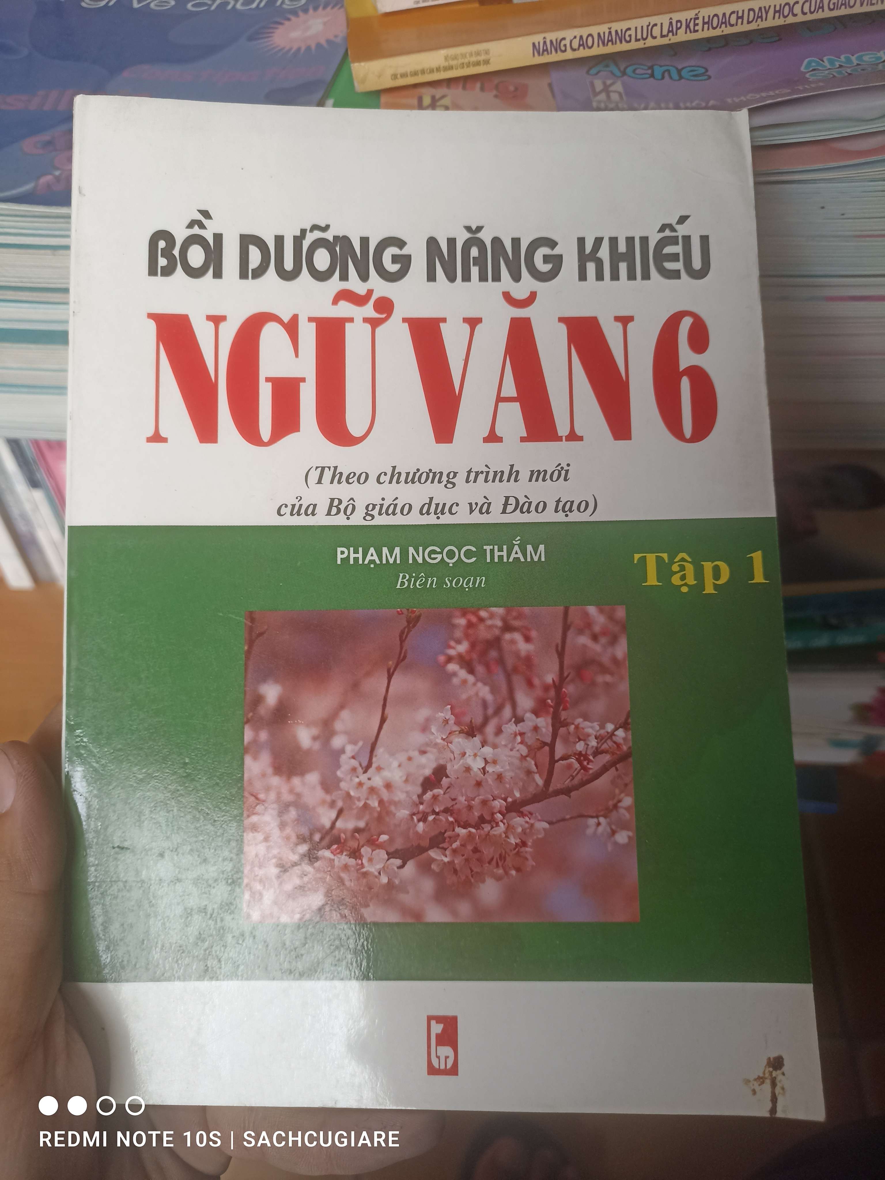 Bồi Dưỡng Năng Khiếu Ngữ Văn 6 (Tập 1) - Phạm Ngọc Thắm 2003 VAVO-AK2ST1