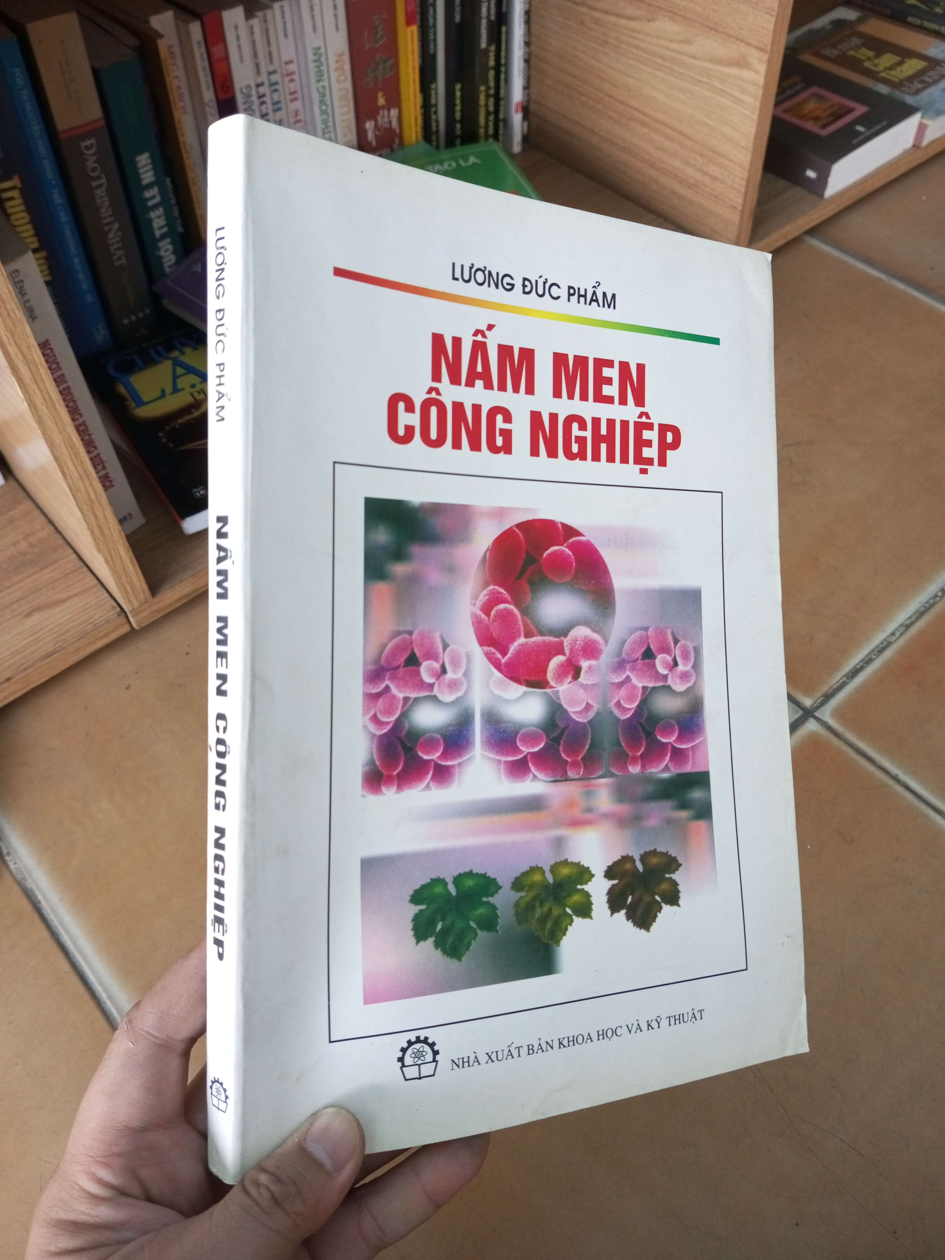 Nấm men công nghiệp - Đức Phẩm 2009 VAVO-A2