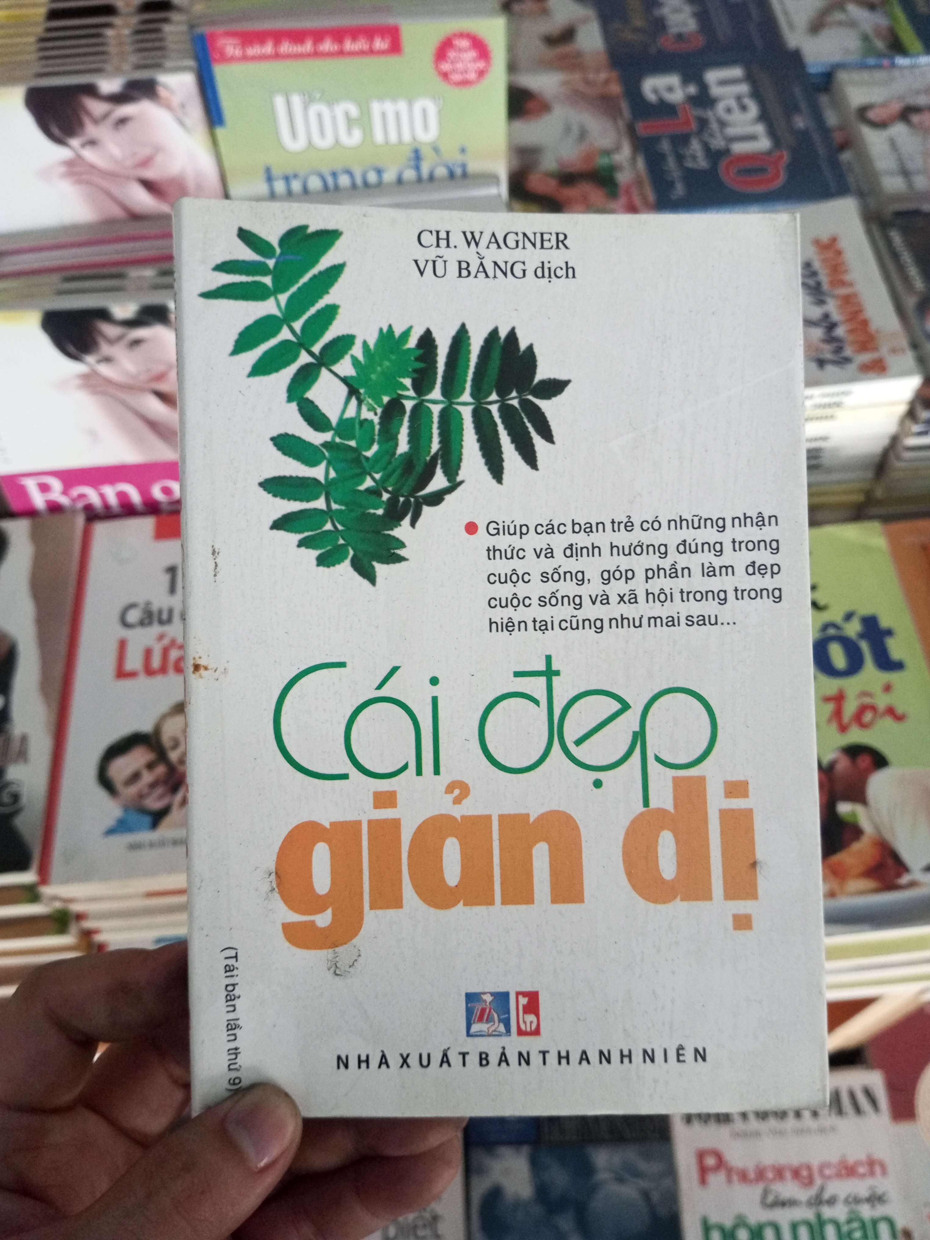 Cái đẹp giản dị - Vũ Bằng 2007 VAVO-A0