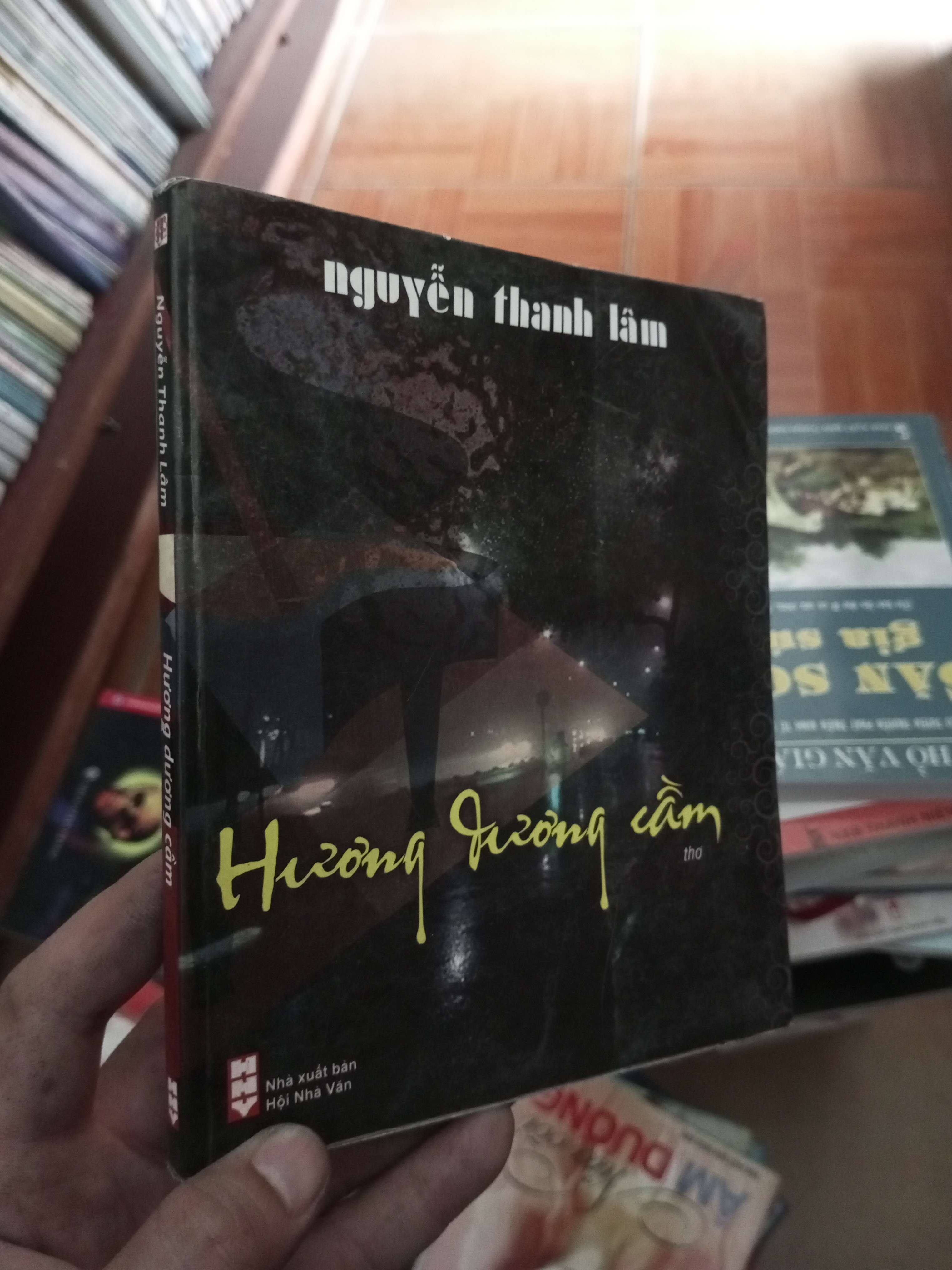 Hương dương cầm - Thanh Lâm 2009 VAVO-AK18