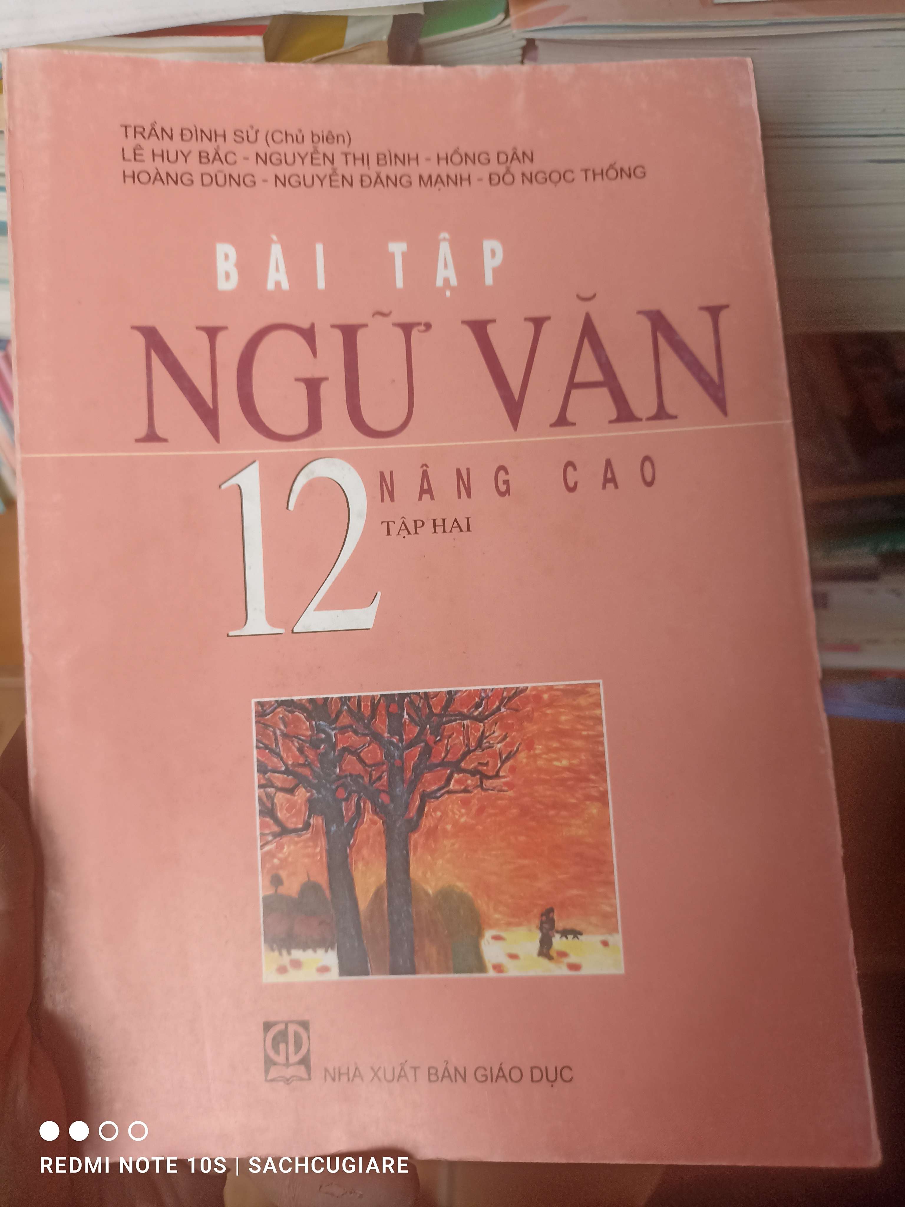 Bài Tập Ngữ Văn 12 (Nâng Cao, Tập Hai) - Trần Đình Sử, Lê Huy Bắc, Nguyễn Thị Bình, Hồng Dân, Hoàng Dũng, Nguyễn Đăng Mạnh, Đỗ Ngọc Thống 2008 VAVO-AK2ST1