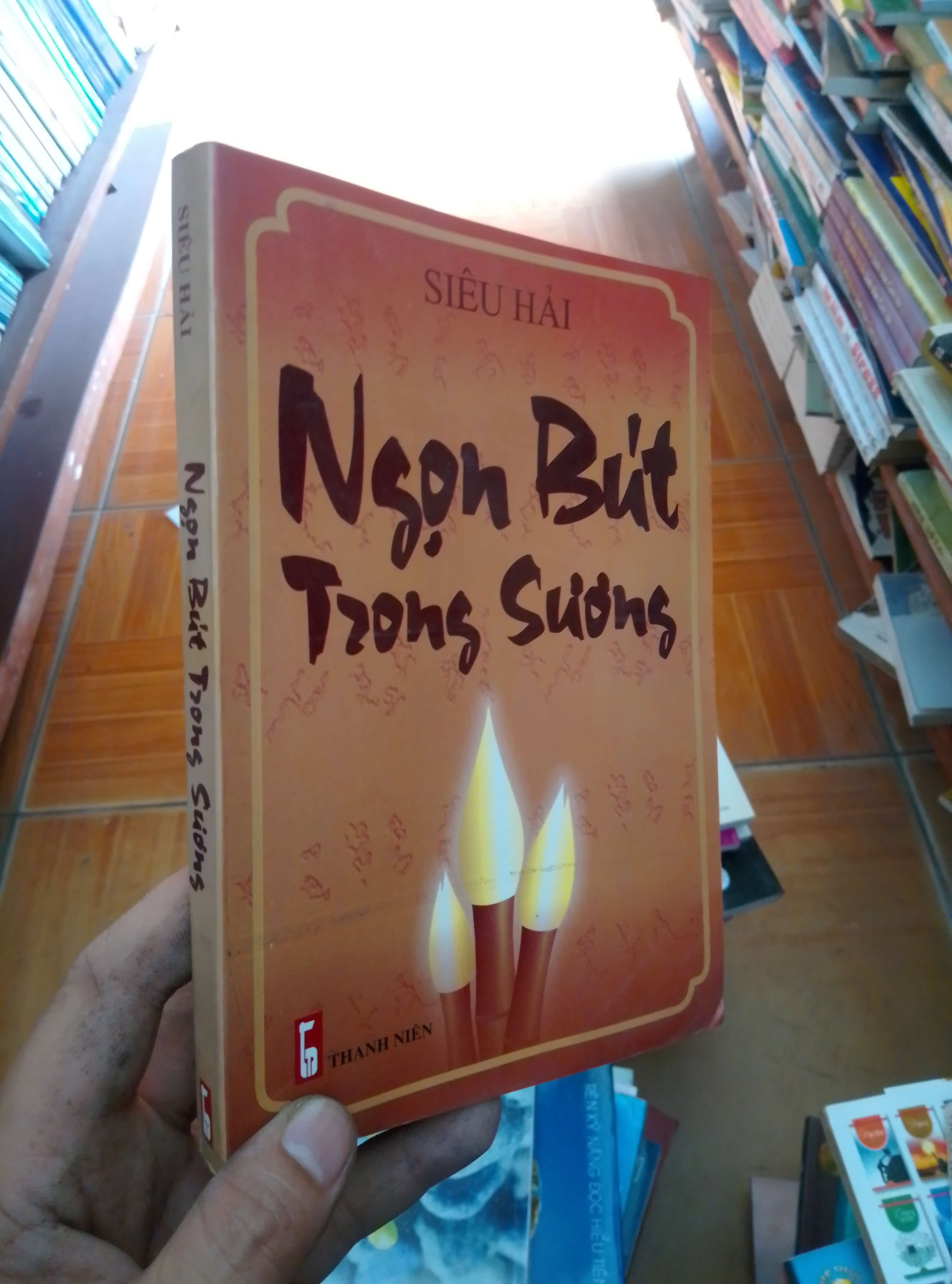 Ngọn bút trong sương - Siêu Hải 2009 VAVO-AK18