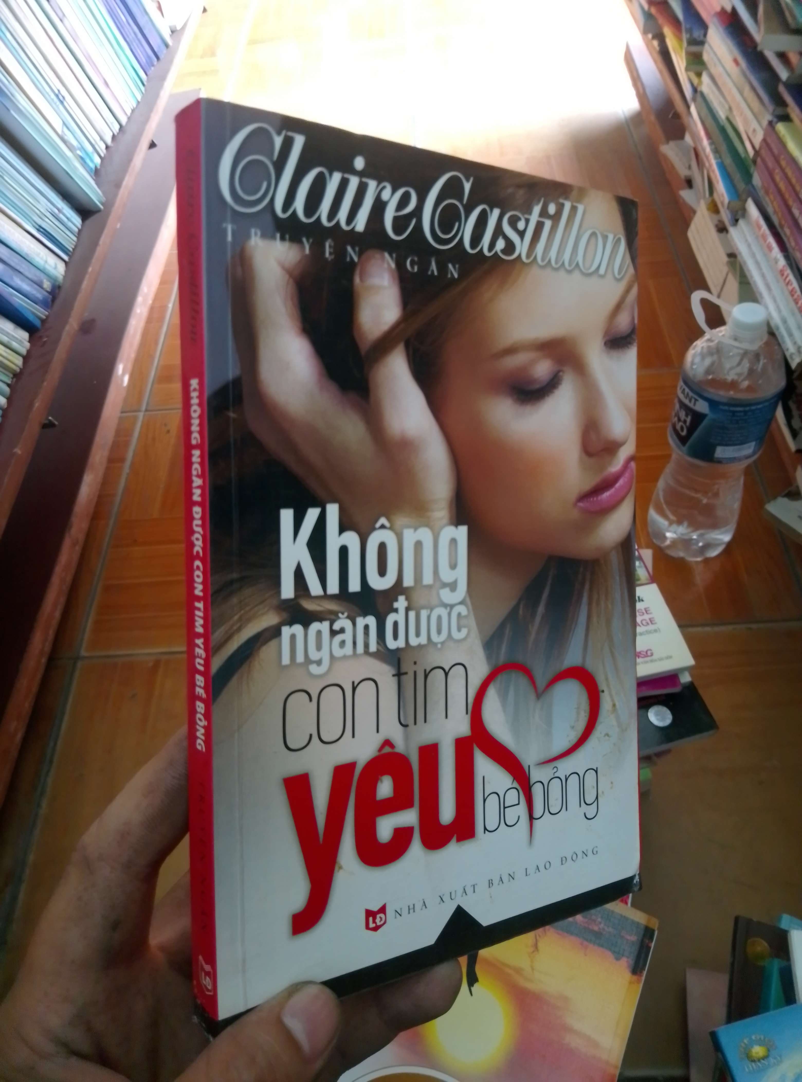 Không ngăn được con tim yêu bé bỏng - Castillon 2013 VAVO-AK18
