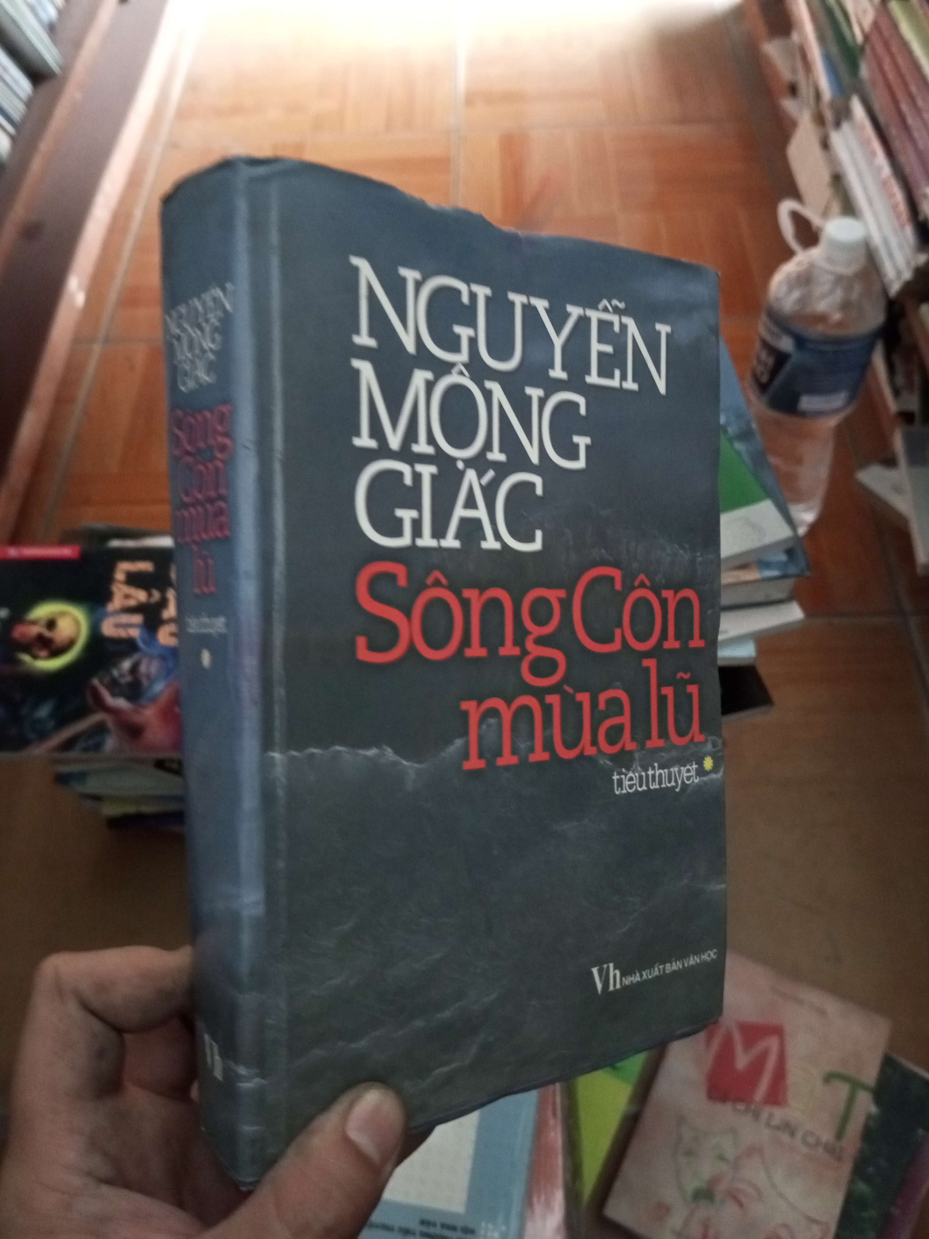 Sông Côn mùa lũ 1 - Nguyễn Mộng Giác 2007 VAVO-AK18