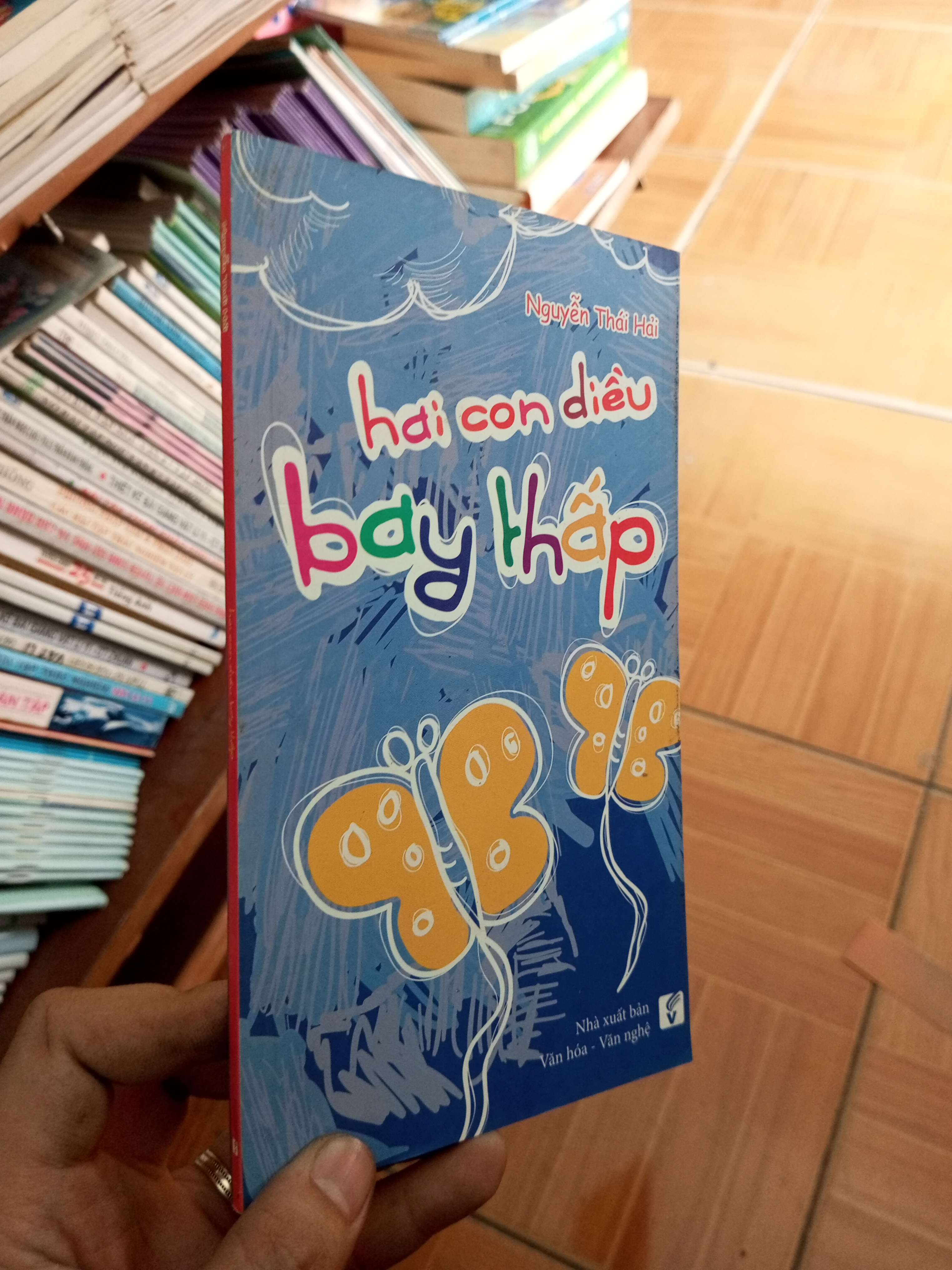 Hai con diều bay thấp - Thái Hải 2014 VAVO-AK18