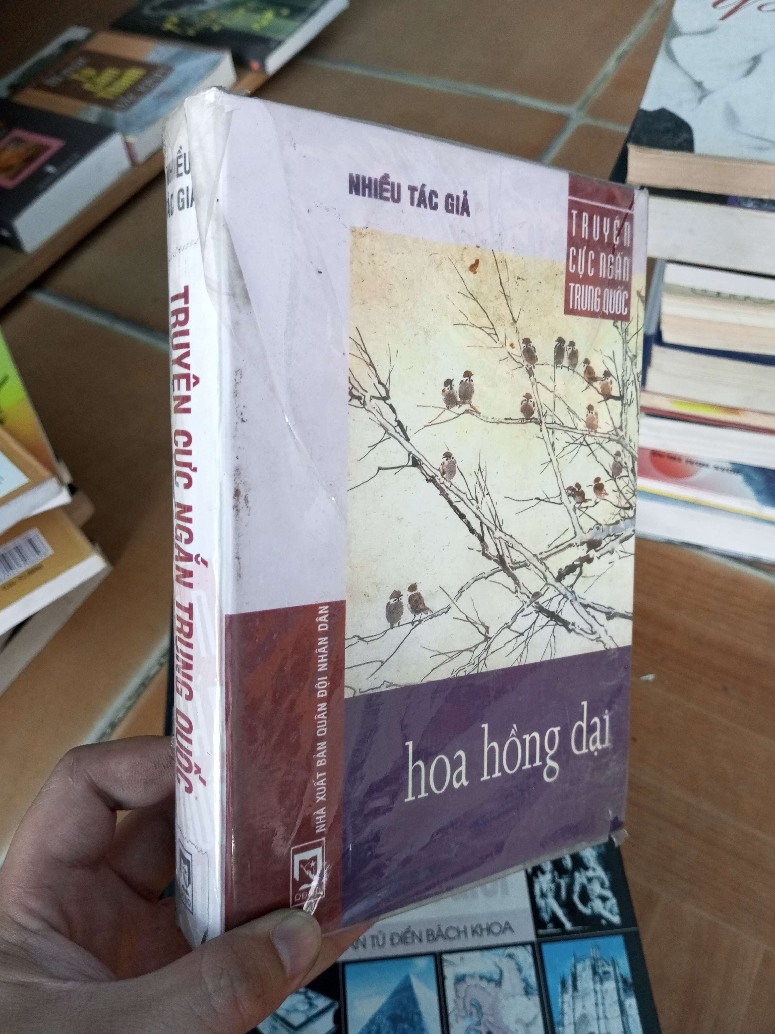 Hoa hồng dại VAVO-A2