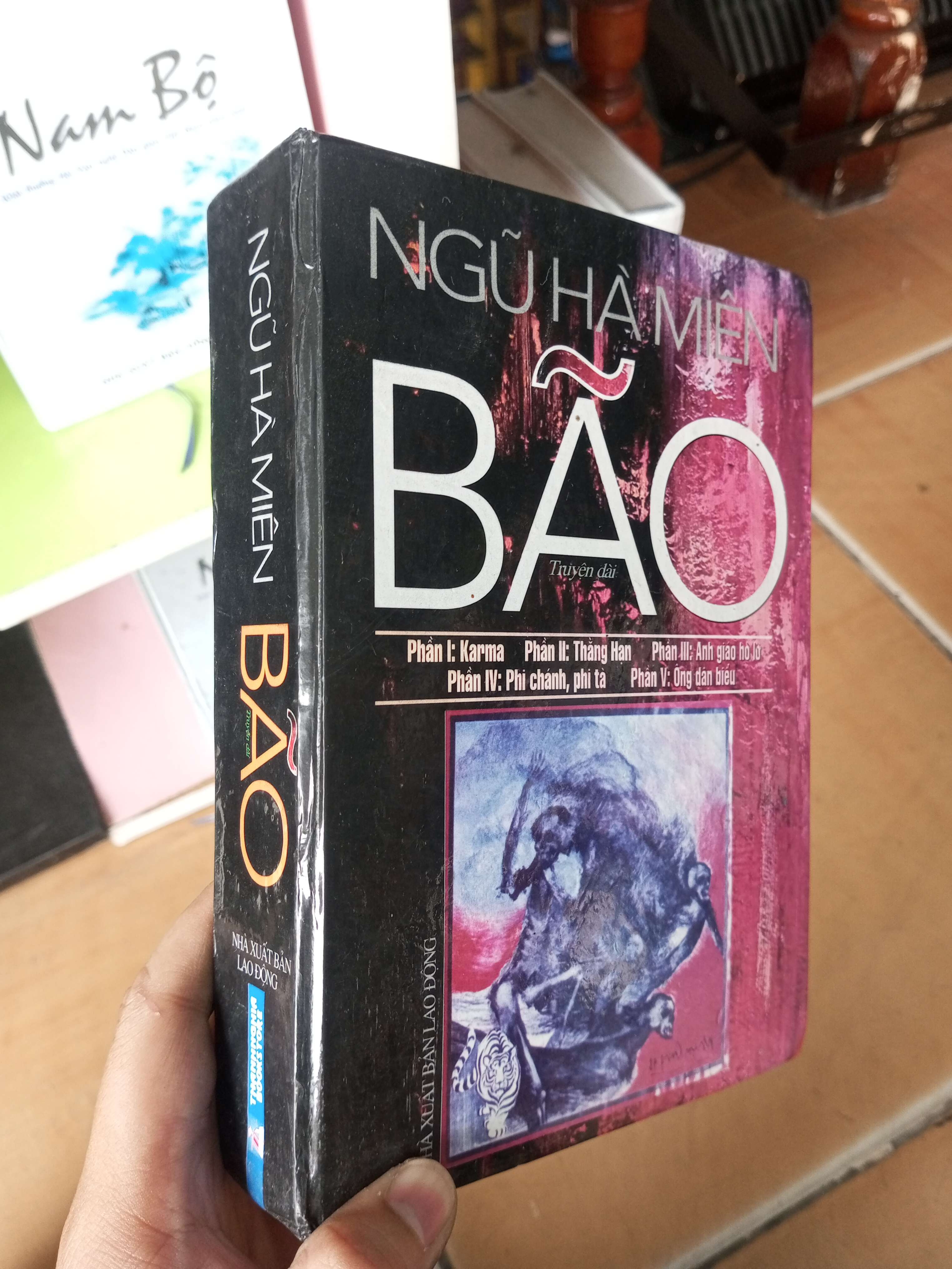 Bão - Hà Miên 2013 VAVO-A0