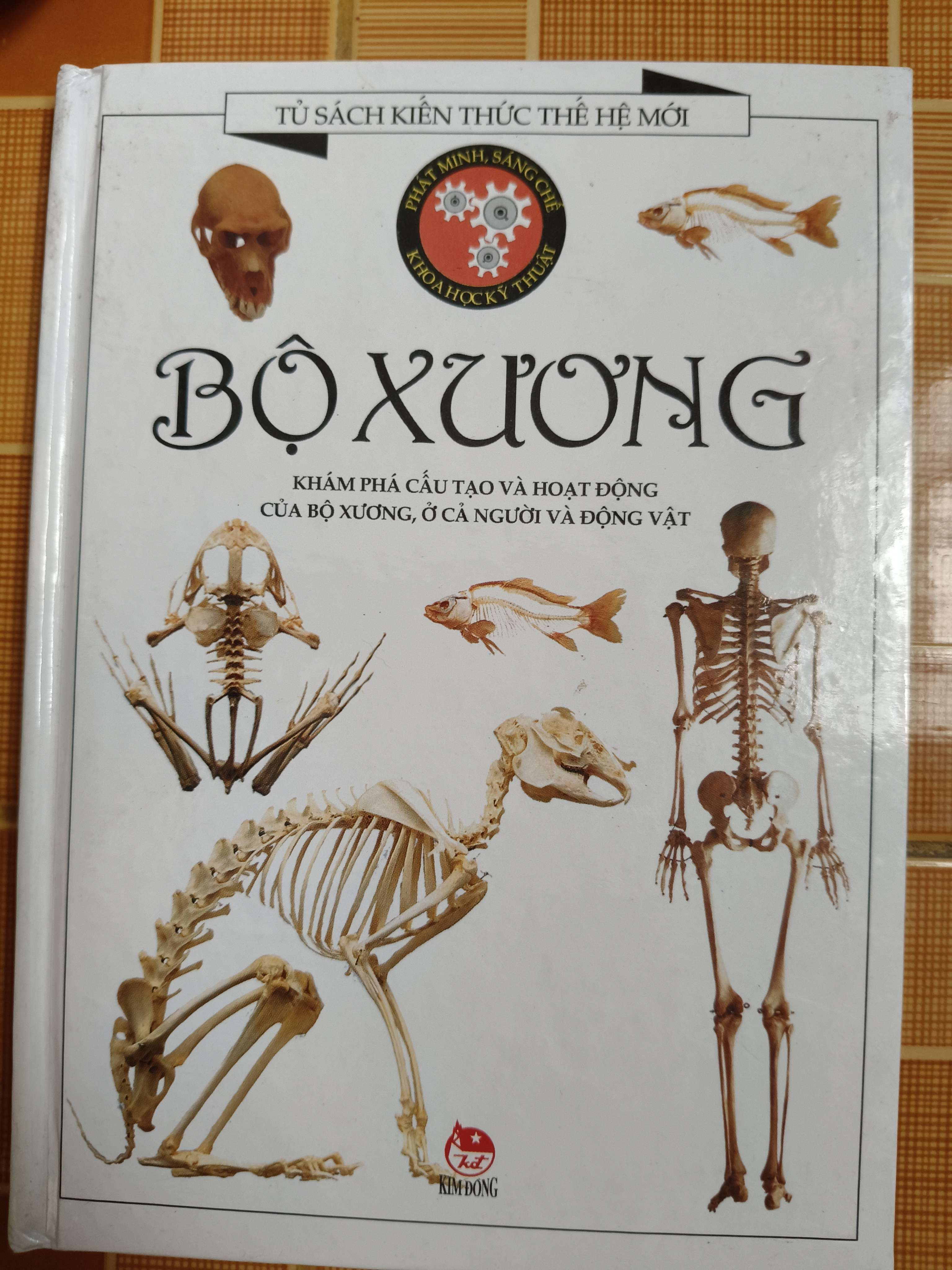 Bộ xương - 2003 - 80 trang - Bìa cứng Sách kiến thức tổng hợp ANTQ