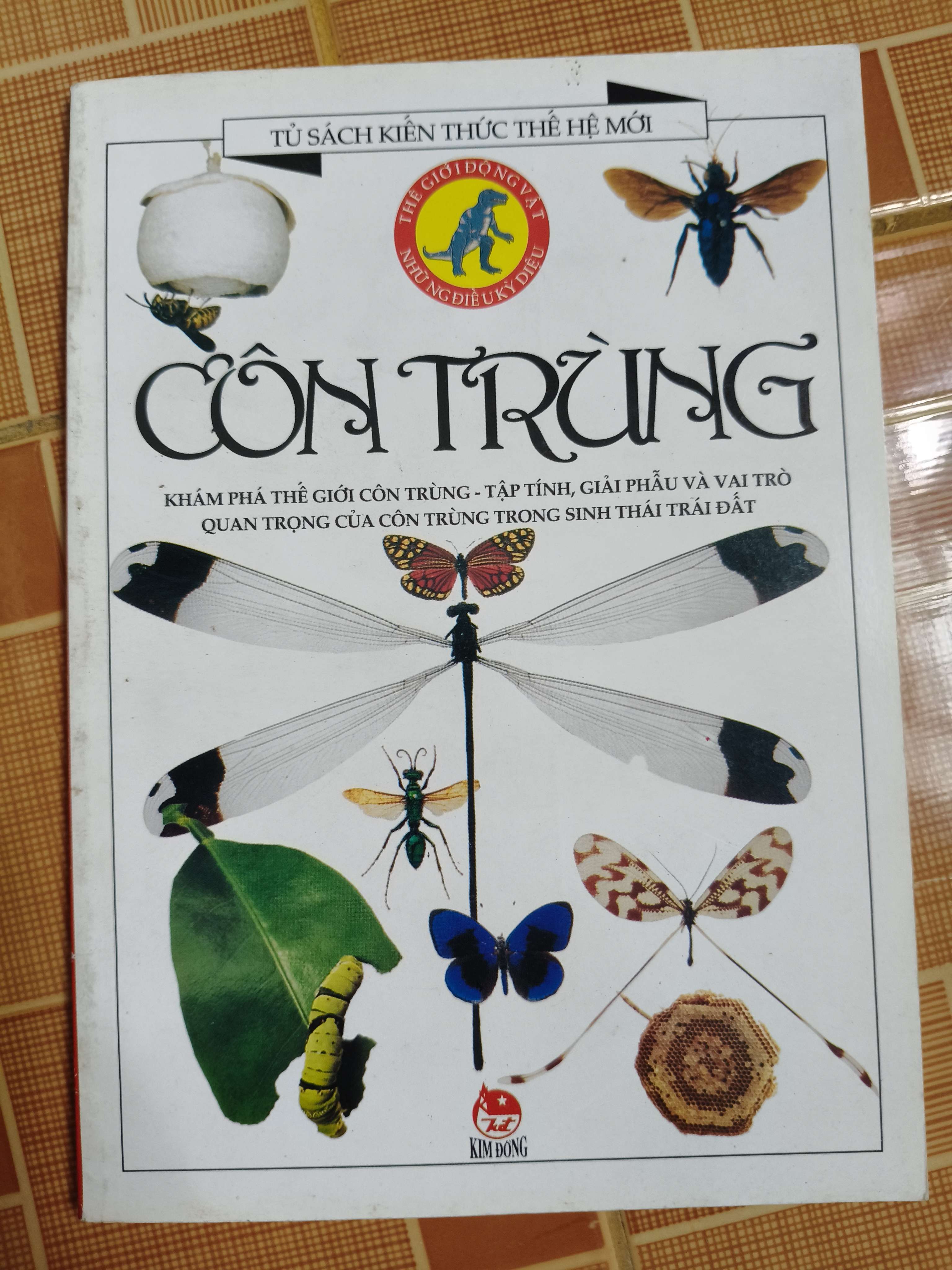 Côn trùng - 2000 - 80 trang Sách kiến thức tổng hợp ANTQ