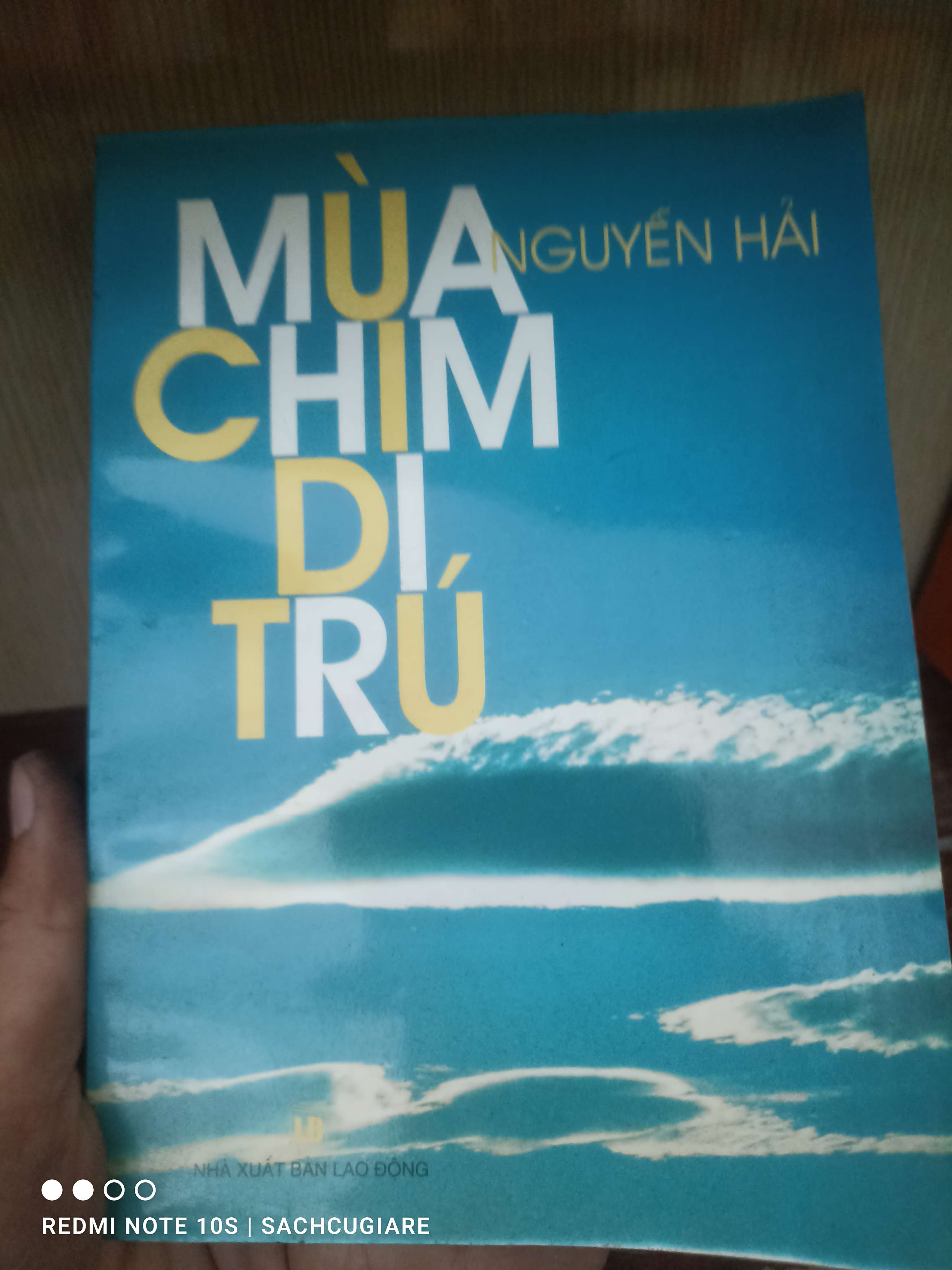 Mùa chim di trú - Nguyễn Hải VAVO