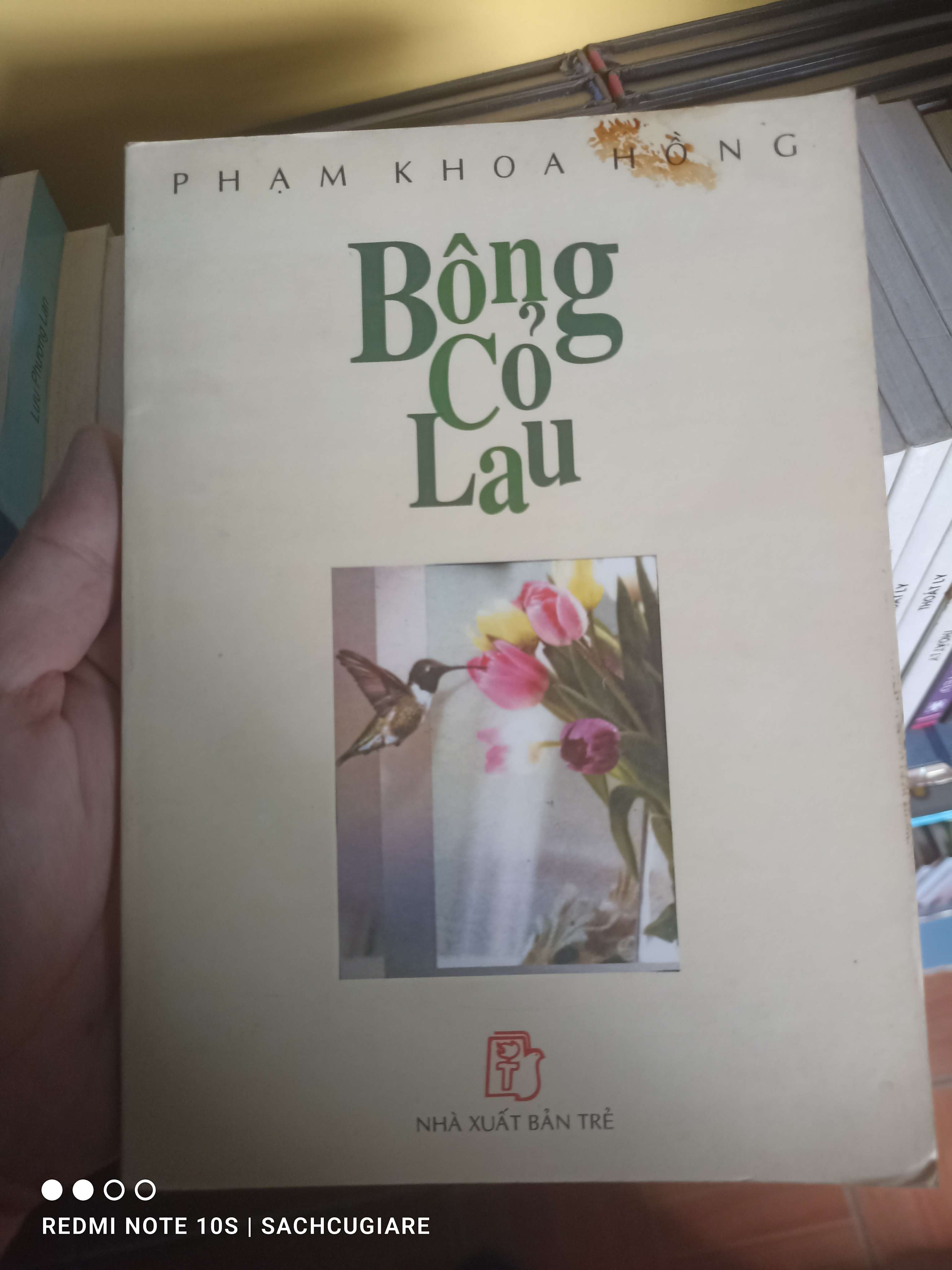 Bông cỏ lau - Phạm Khoa Hồng VAVO-K1D1 -