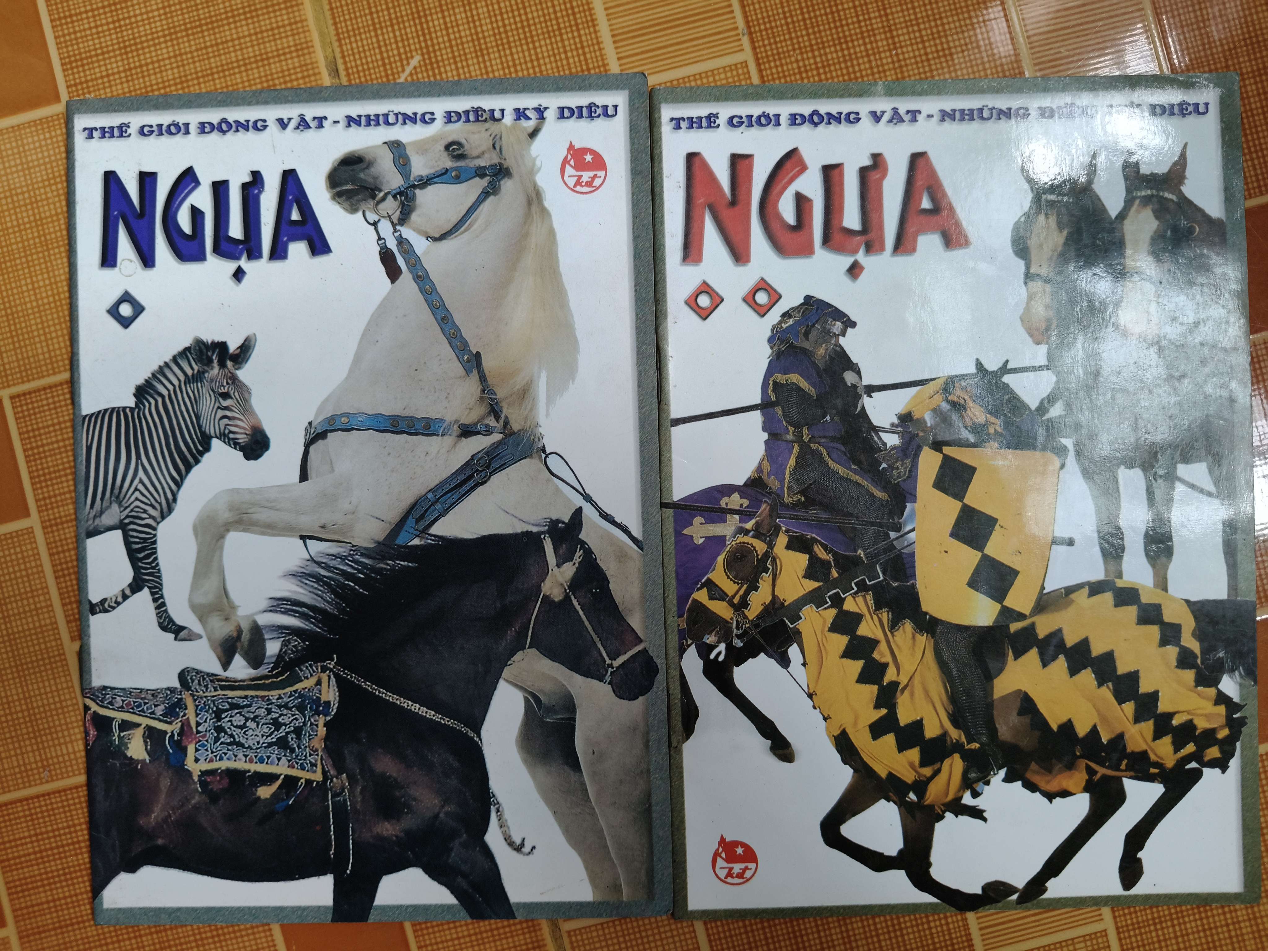 Ngựa - 1999 - 66 trang Sách kiến thức tổng hợp ANTQ