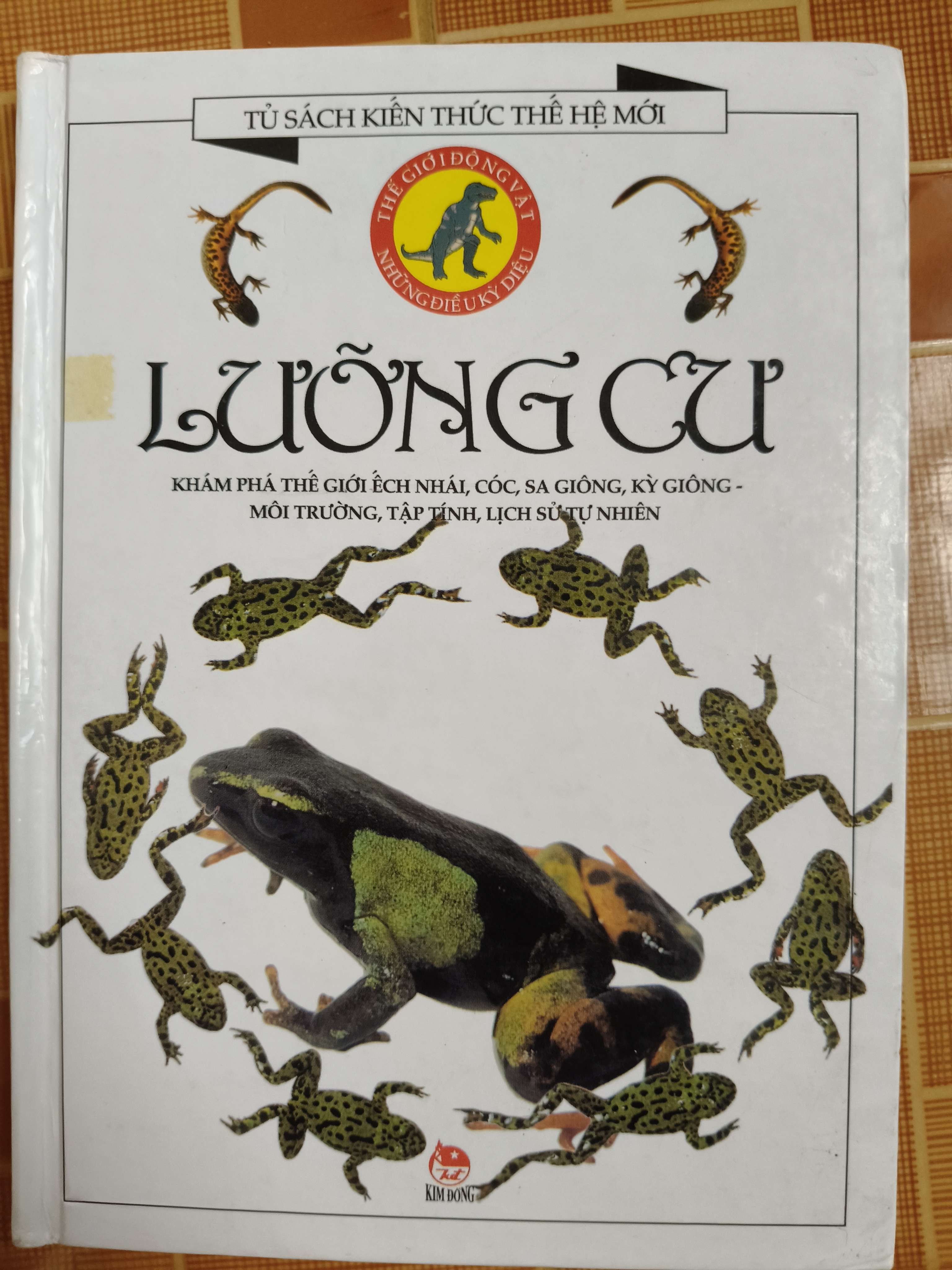 Lưỡng cư - 2001 - 80 trang - Bìa cứng Sách kiến thức tổng hợp ANTQ