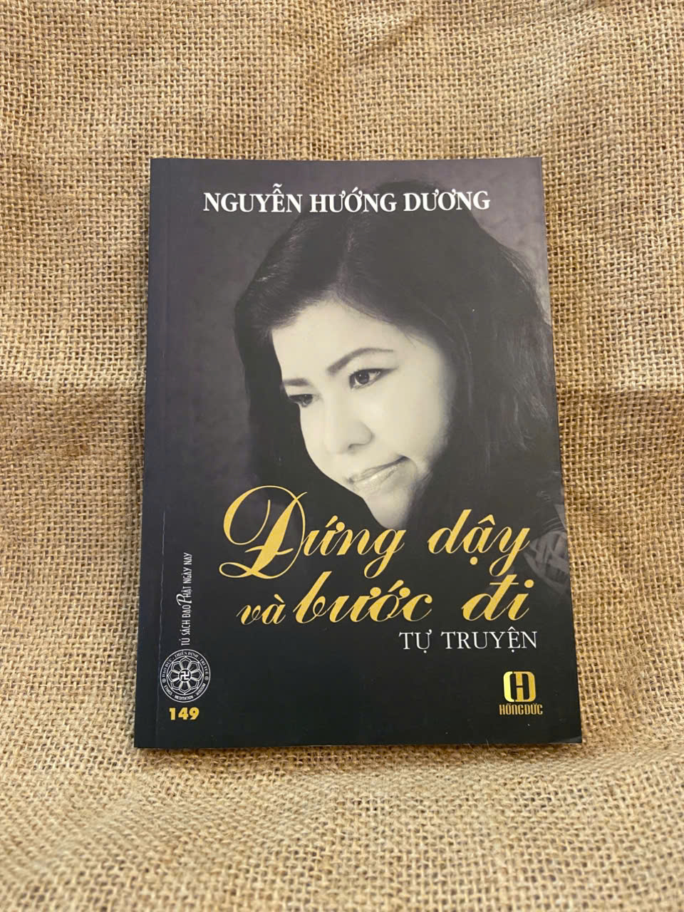 Đứng dậy và bước đi - Nguyễn Hướng Dương 2014 mới 80% sách ố, có chữ ký và note của chủ cũ, không ảnh hưởng nội dung Văn học Việt Nam NSX1004 (NSX)