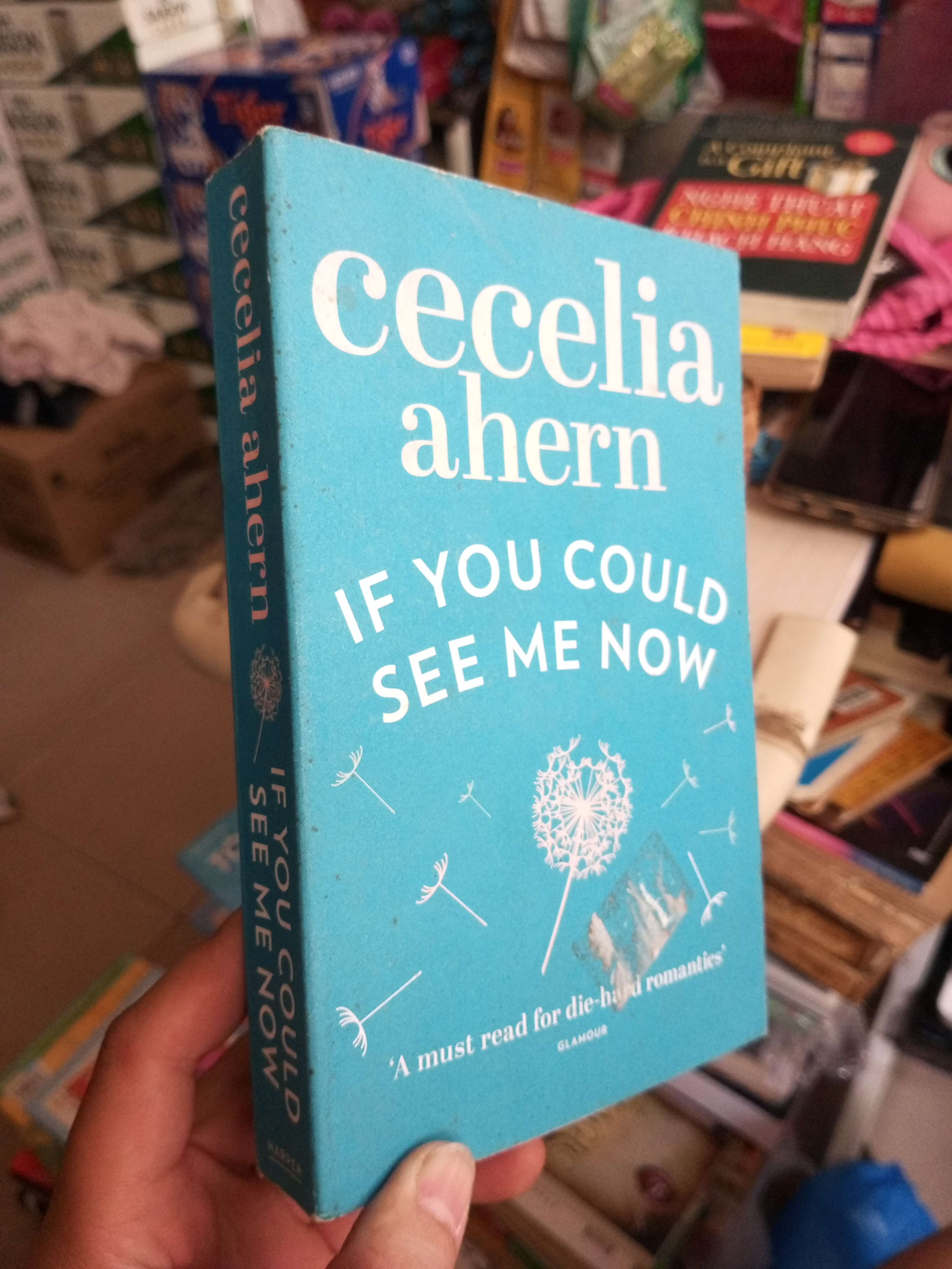 If You Could See Me Now - Cecelia Ahern mới 80% ố Sách ngoại HCM1004 (NSX)