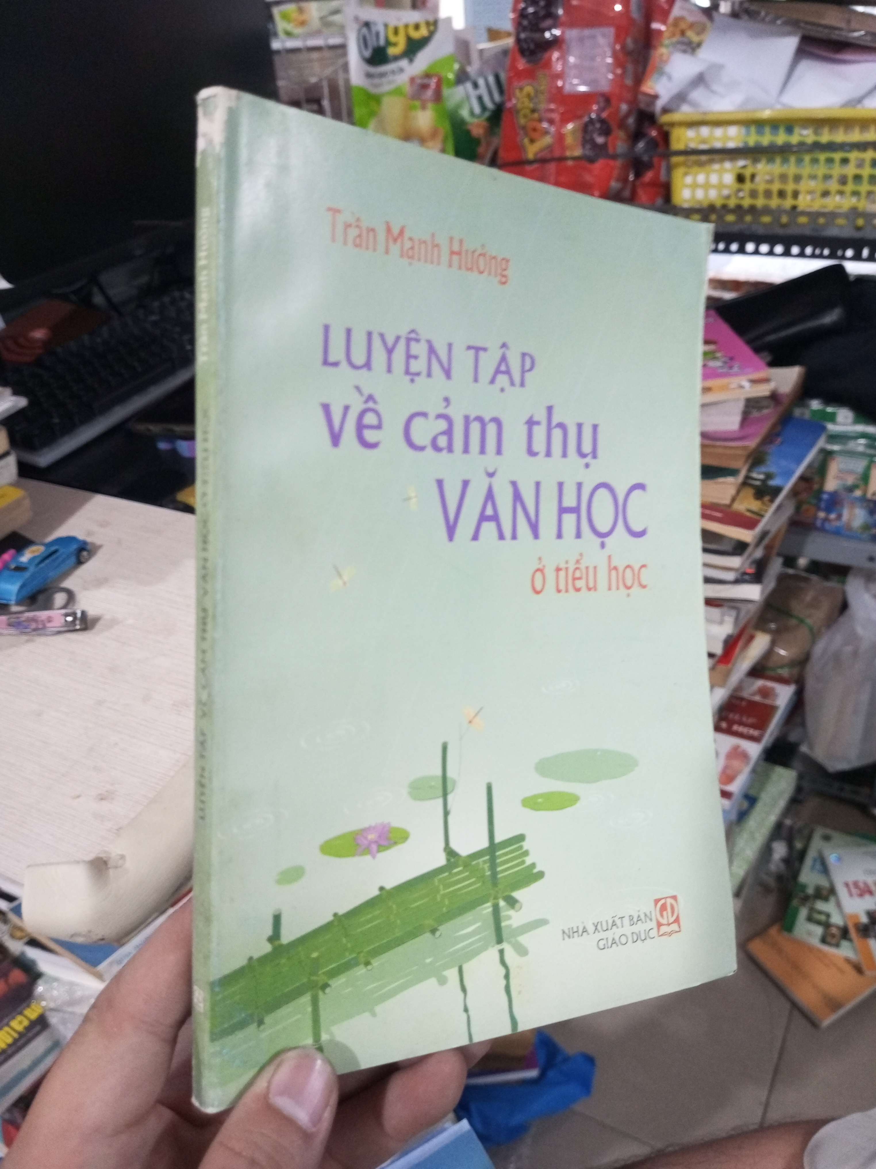 Luyện Tập Về Cảm Thụ Văn Học Ở Tiểu Học - Trần Mạnh Hưởng 2005 mới 80% ố Tham khảo - luyện thi HCM1004