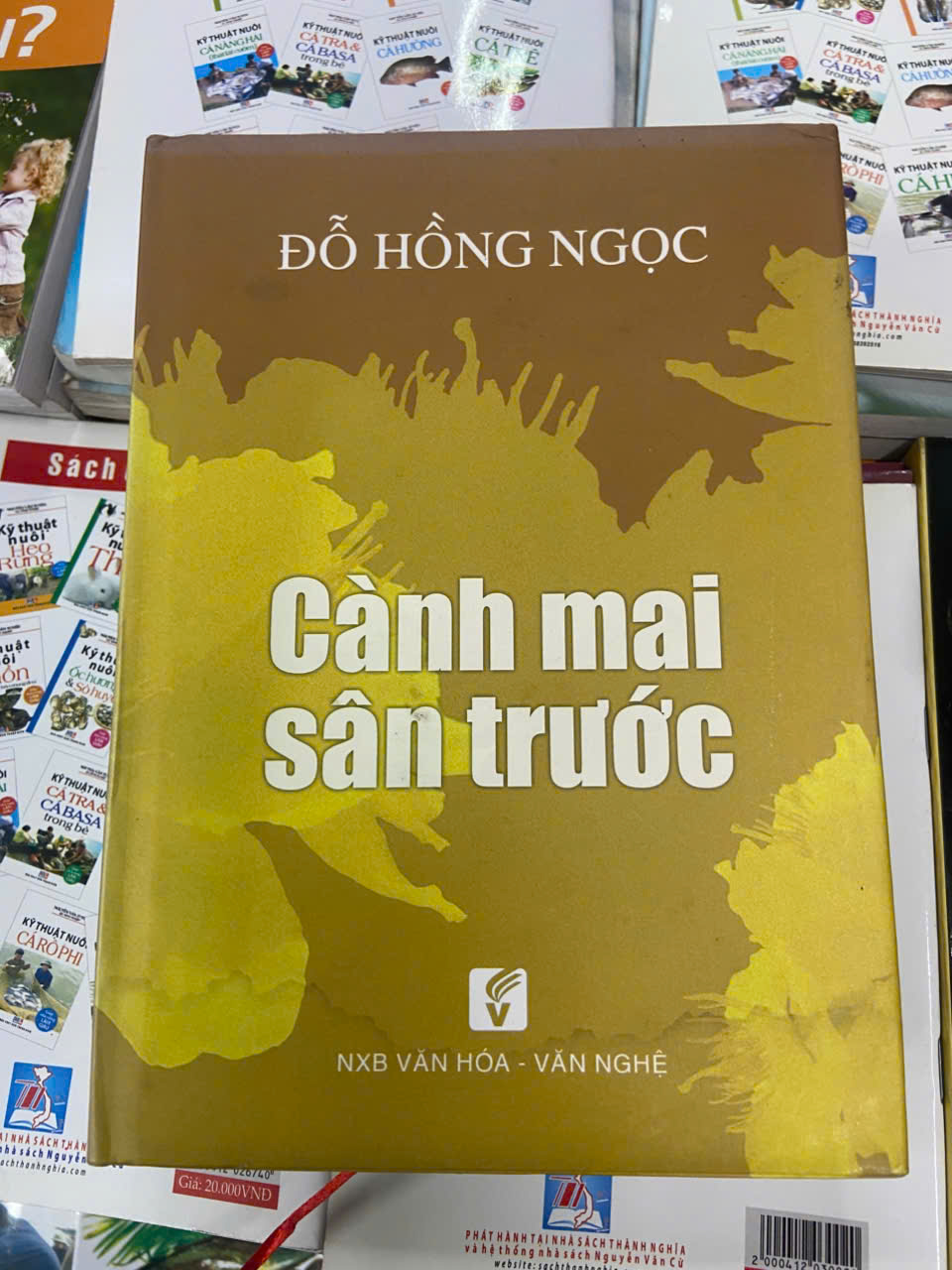 Cành mai sân trước - Đỗ Hồng Ngọc Văn học Việt Nam VAVO1004