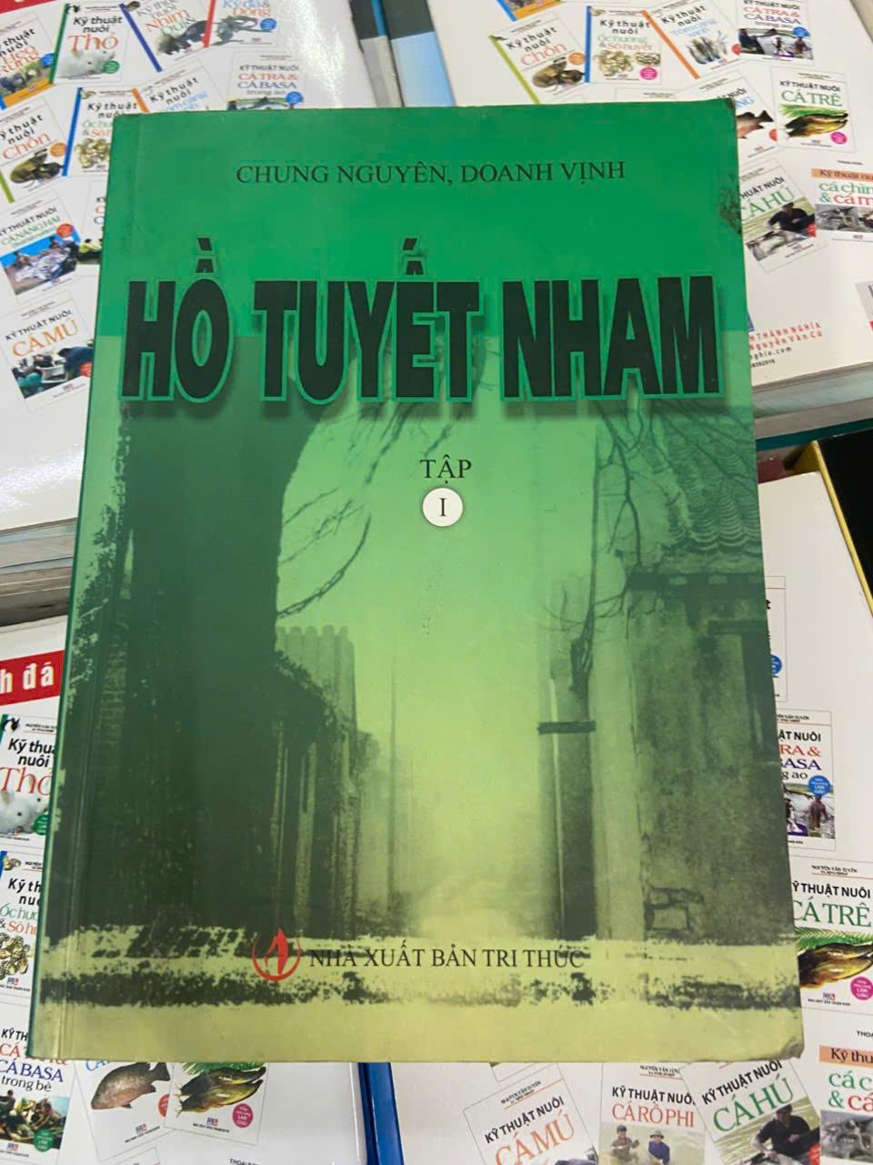 Hồ Tuyết Nham 1 - Chung Nguyên, Doanh Vịnh Sách văn học VAVO1004