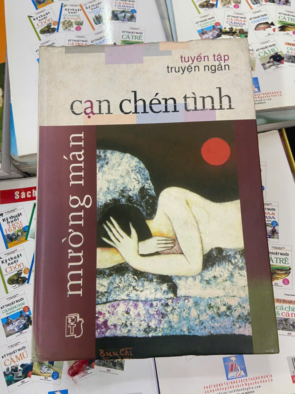 Cạn chén tình - Mường Mán Văn học Việt Nam VAVO1004