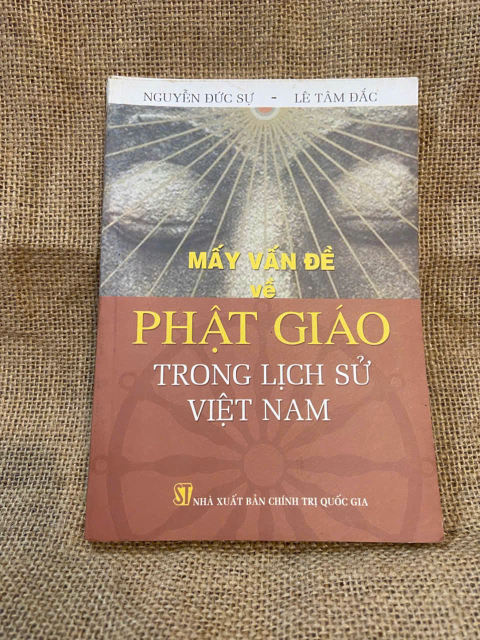 Mấy vấn đề Phật Giáo trong lịch sử Việt Nam - Nguyễn Đức Sự, Lê Tâm Đắc 2010 mới 80% có chữ ký của chủ sở hữu cũ Phật giáo NSX1004