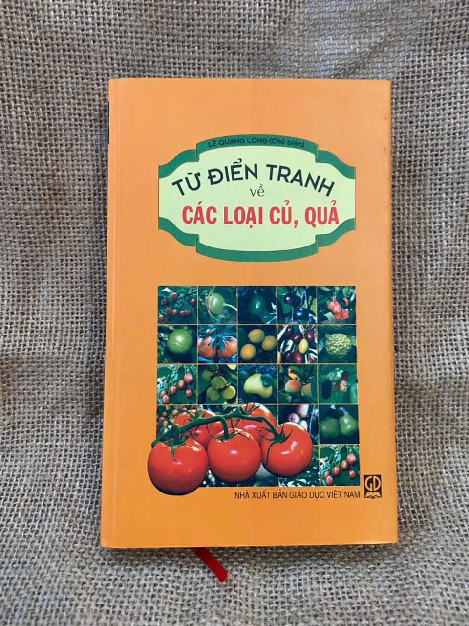 Từ điển tranh và các loại củ, quả 2009 mới 90% Truyện tranh NSX1004