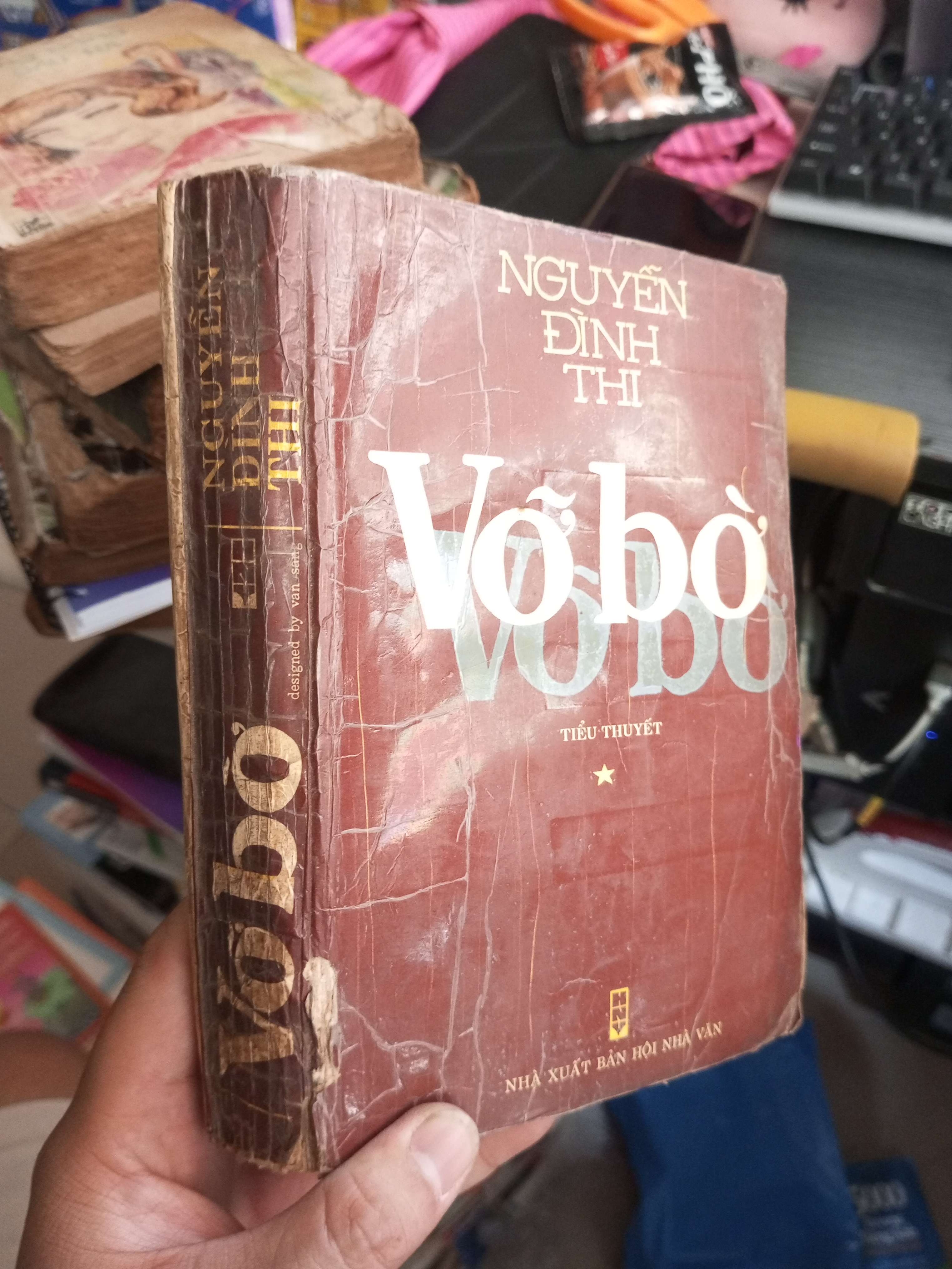 Vỡ Bờ - Nguyễn Đình Thi 1993 mới 70% ố ẫm Văn học Việt Nam HCM1004